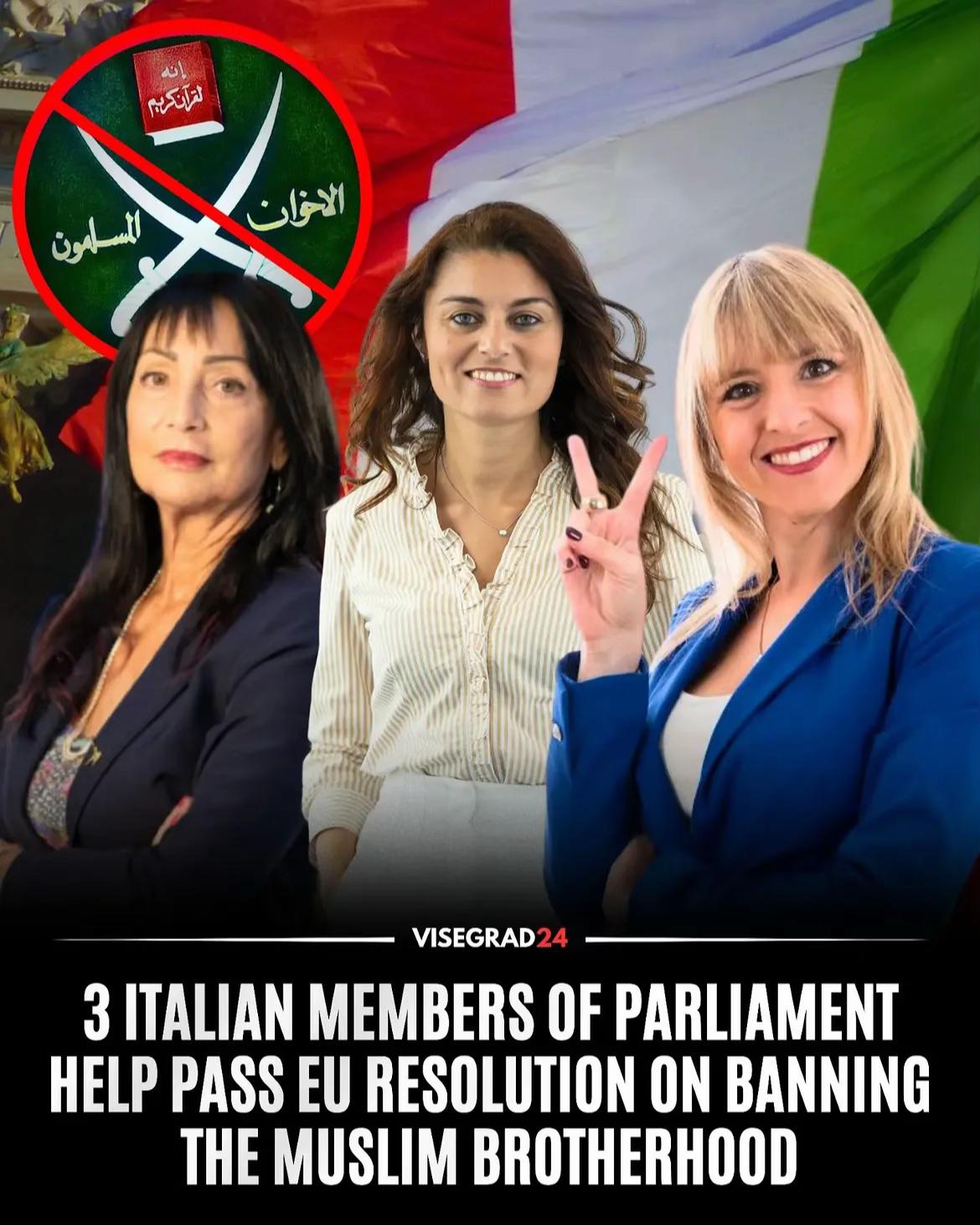 @Visegrad24