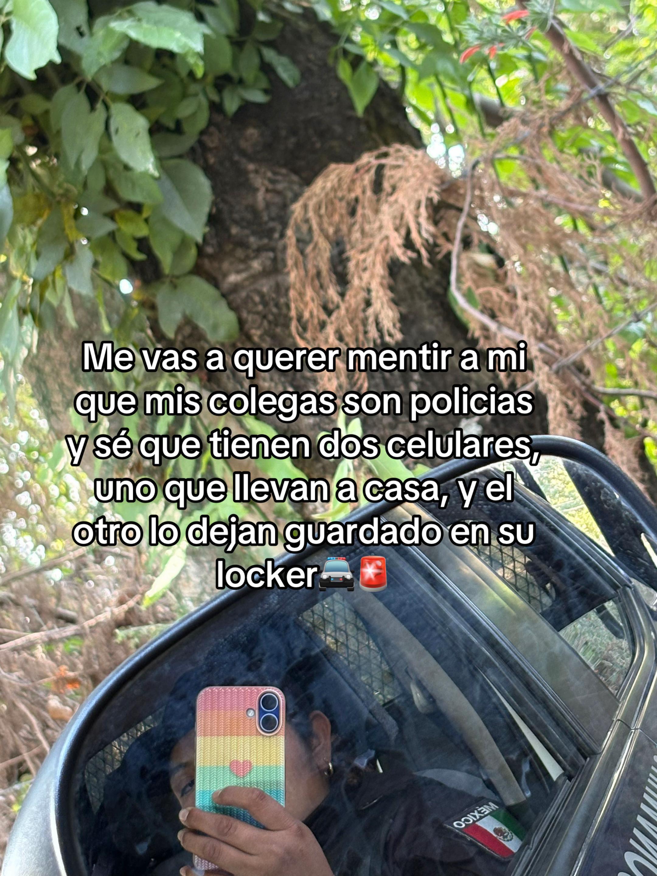 @Lizeth Rodriguez Martinez