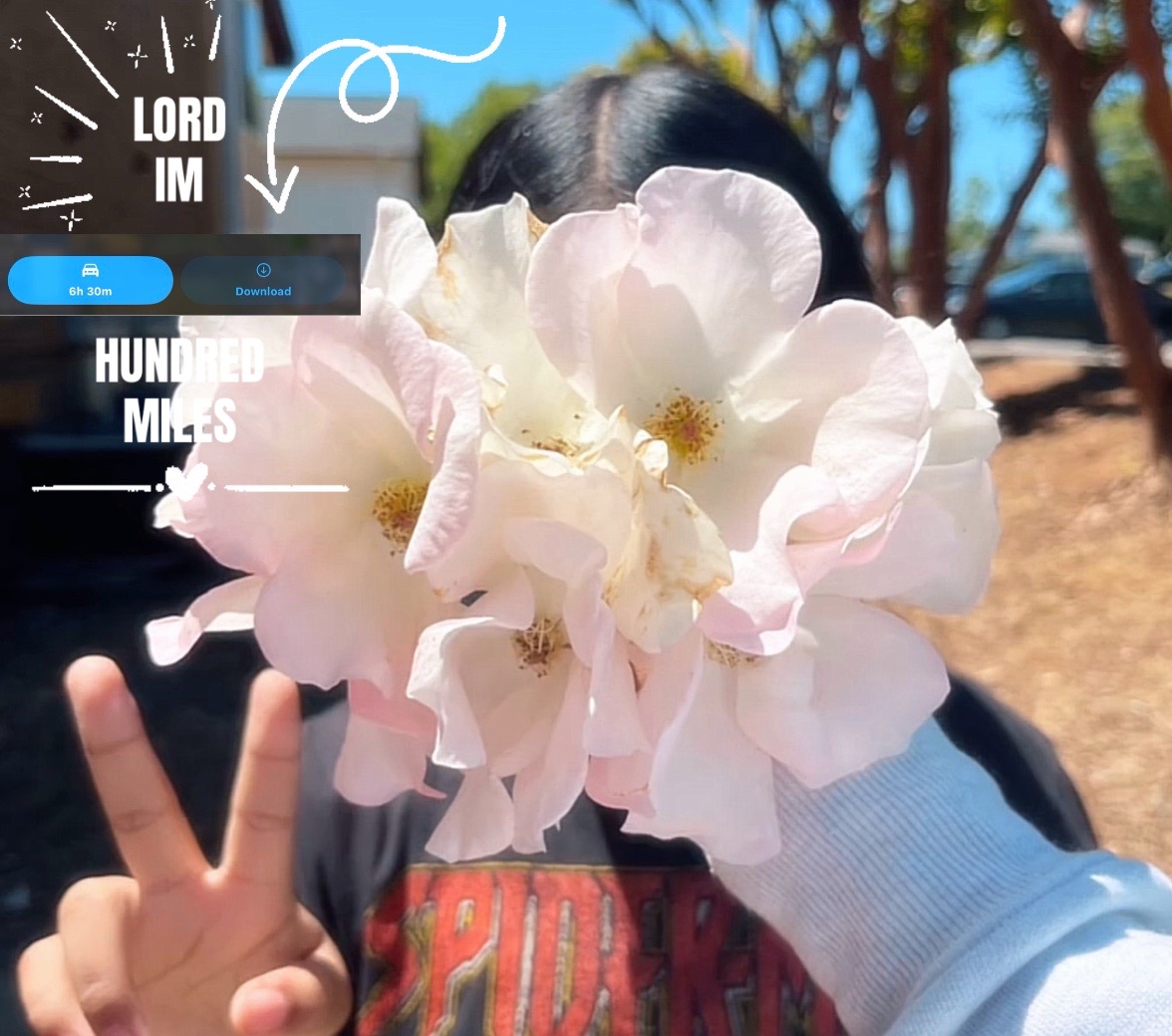 @๐ณ๐ตangel๐ณ๐ต