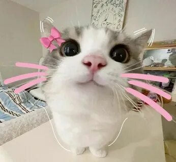 @FeMbOyChIk :з