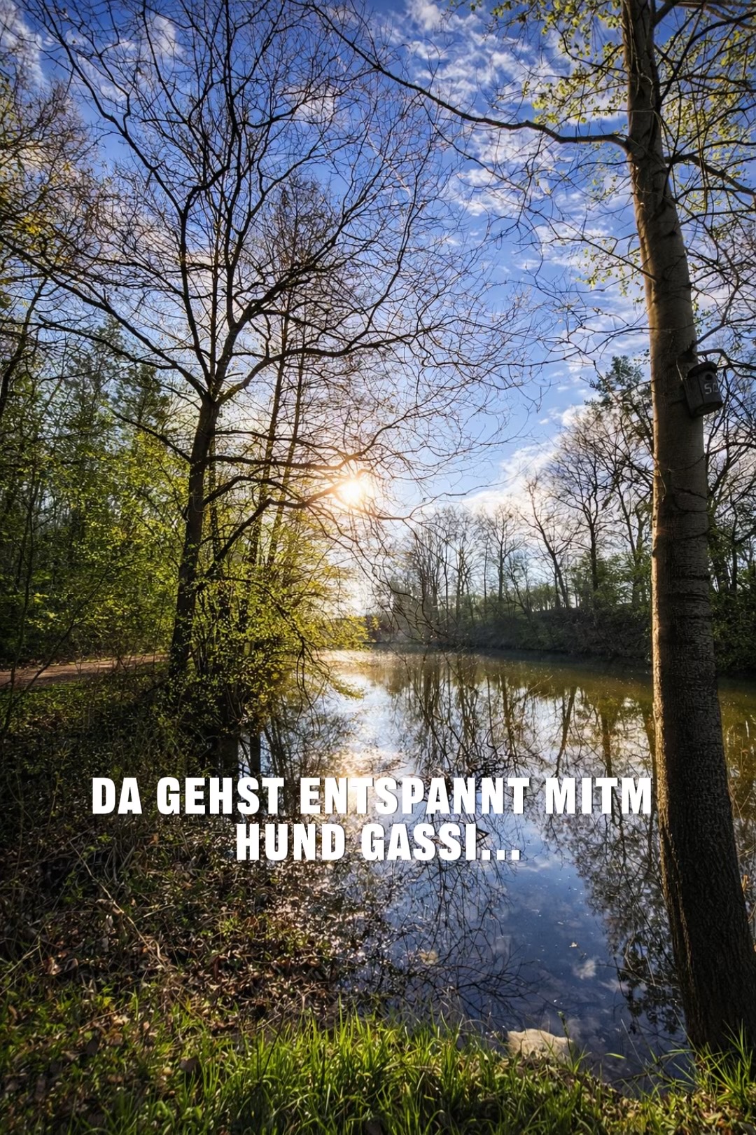 @Stefan Neufeld