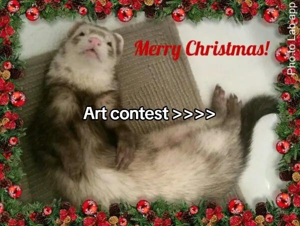 @❄️˙∘˚&bull; ᥲ᥊ᥱ┆🎄ིྀ