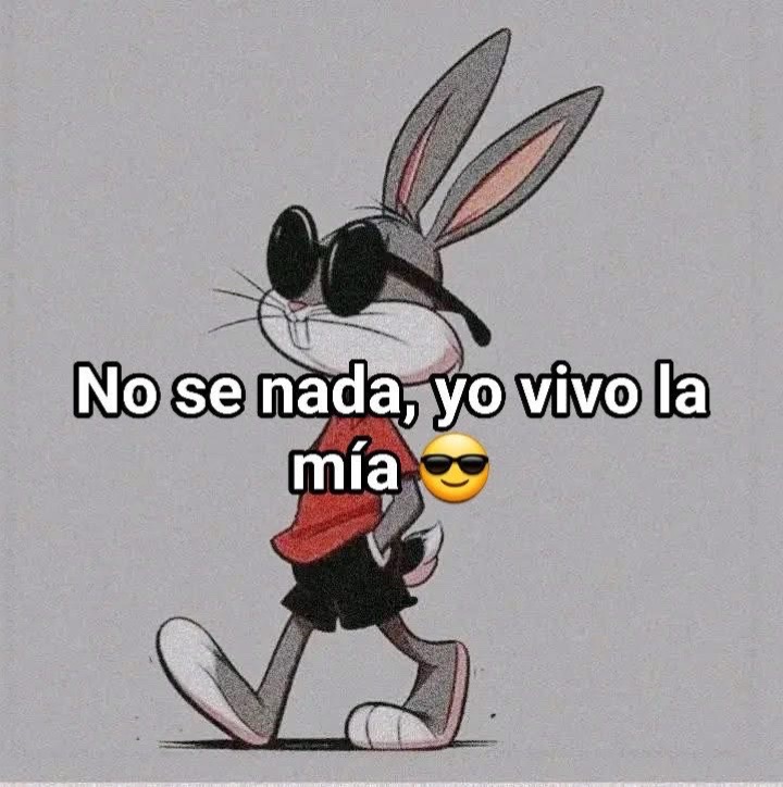 @irvinrsr8bb