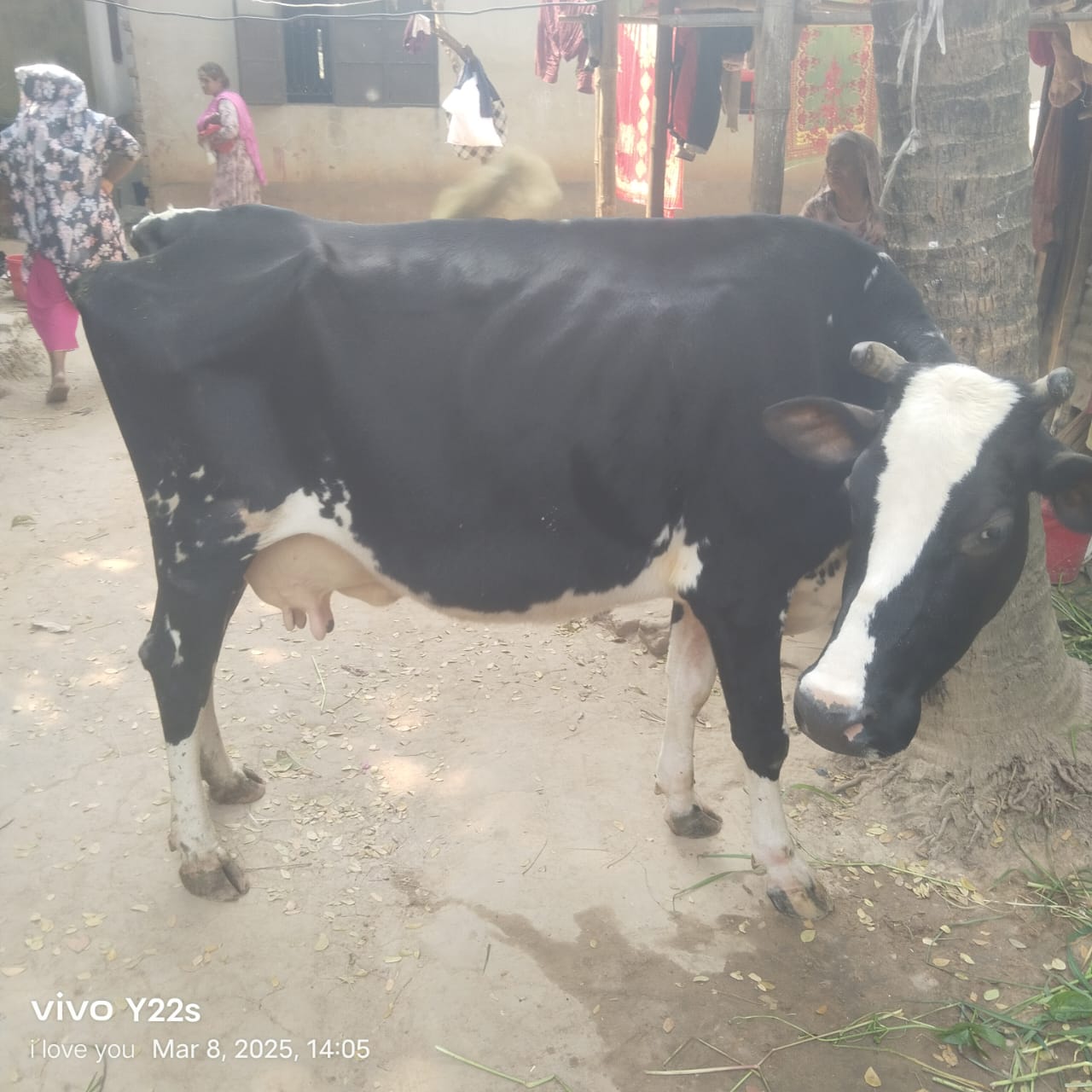 @রিনা।।।.সোলতানা