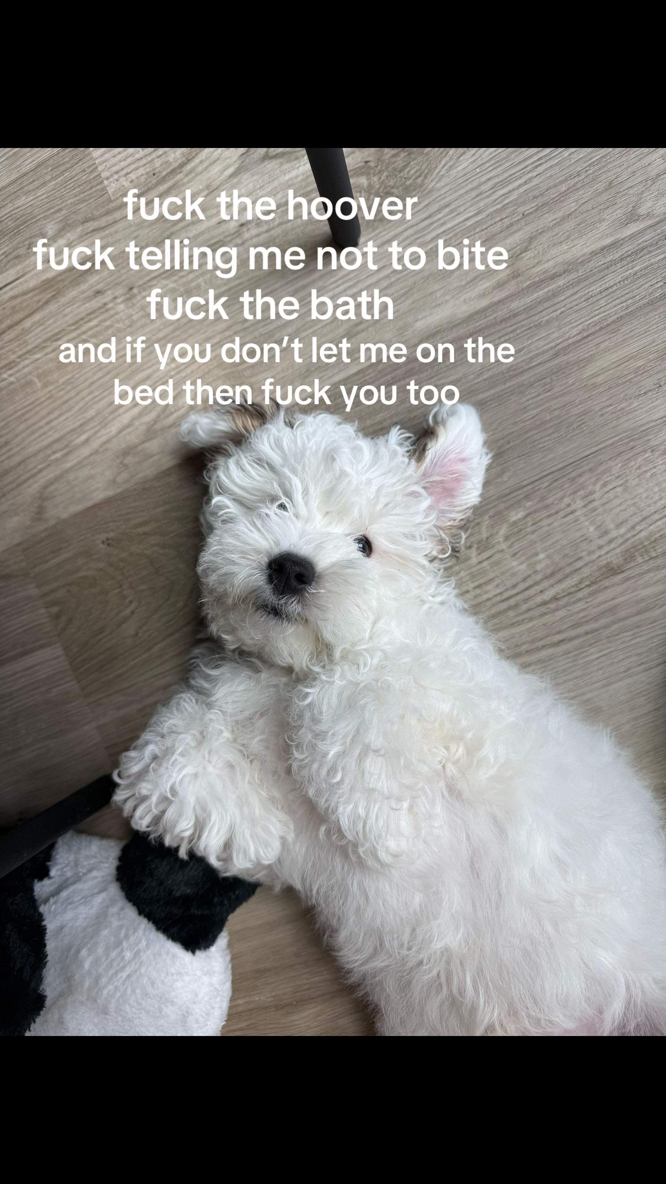@Luc ✨🪩🕺