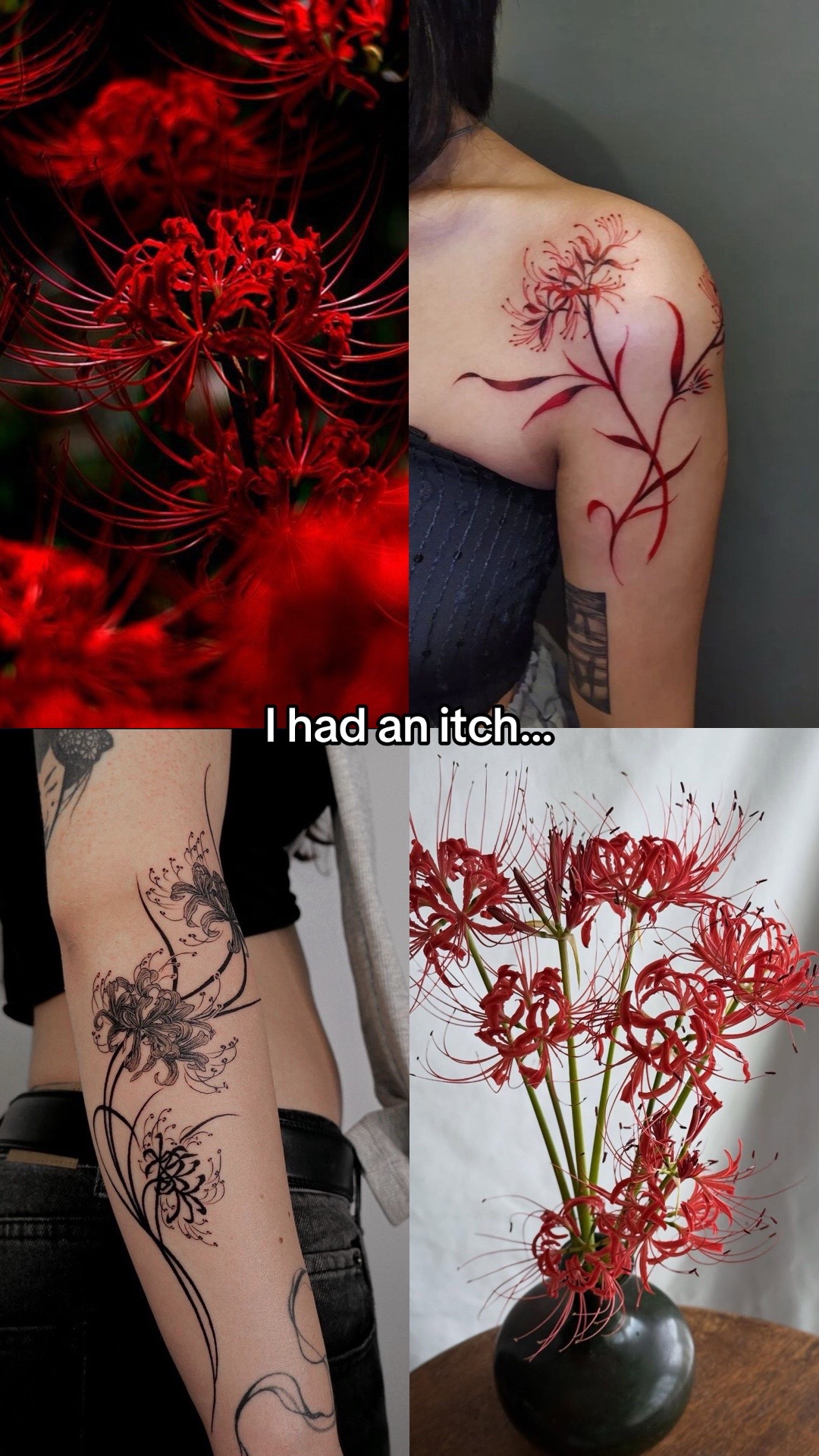 @🥀🖤