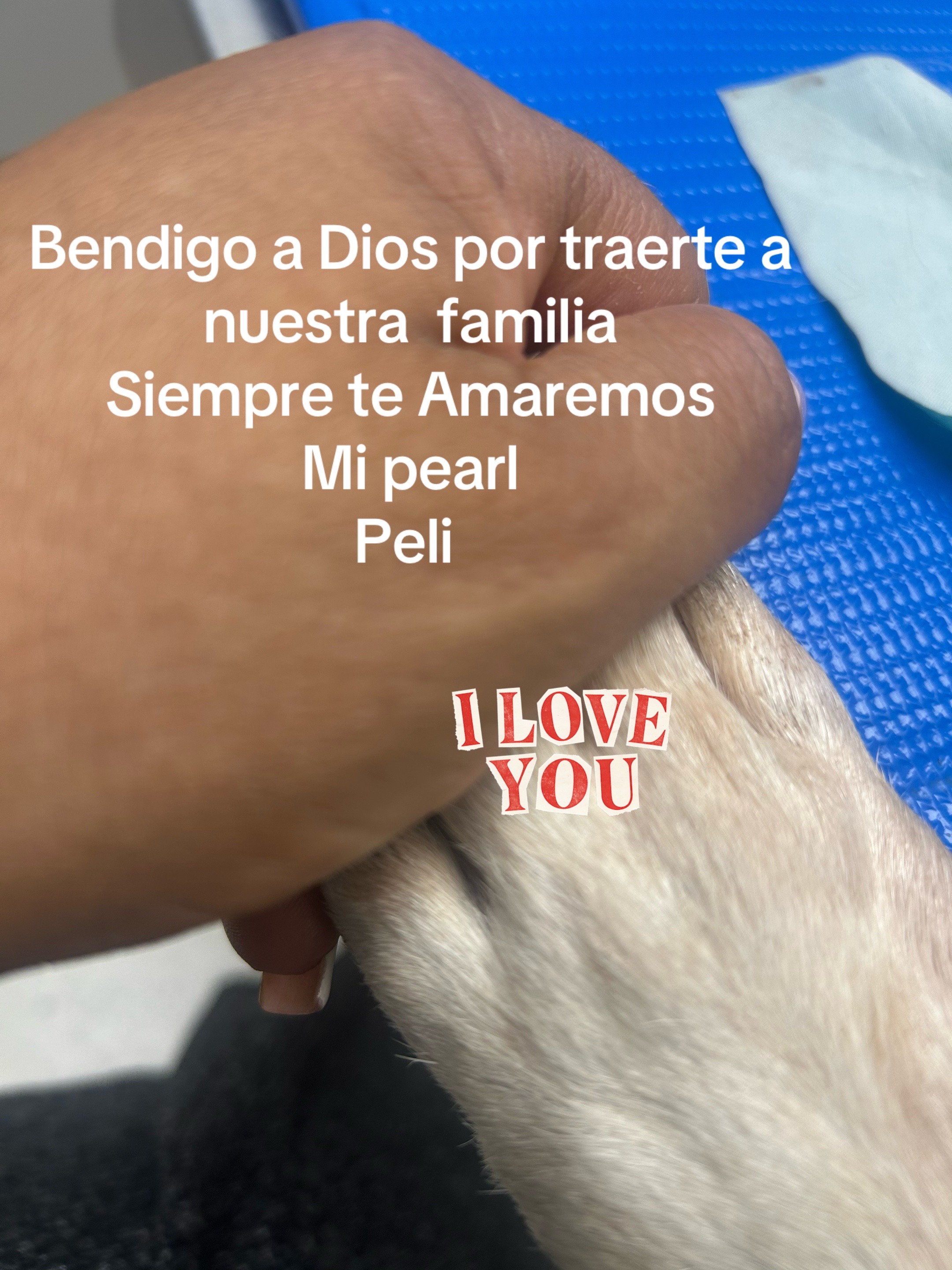 @Pastora Amada Ramire