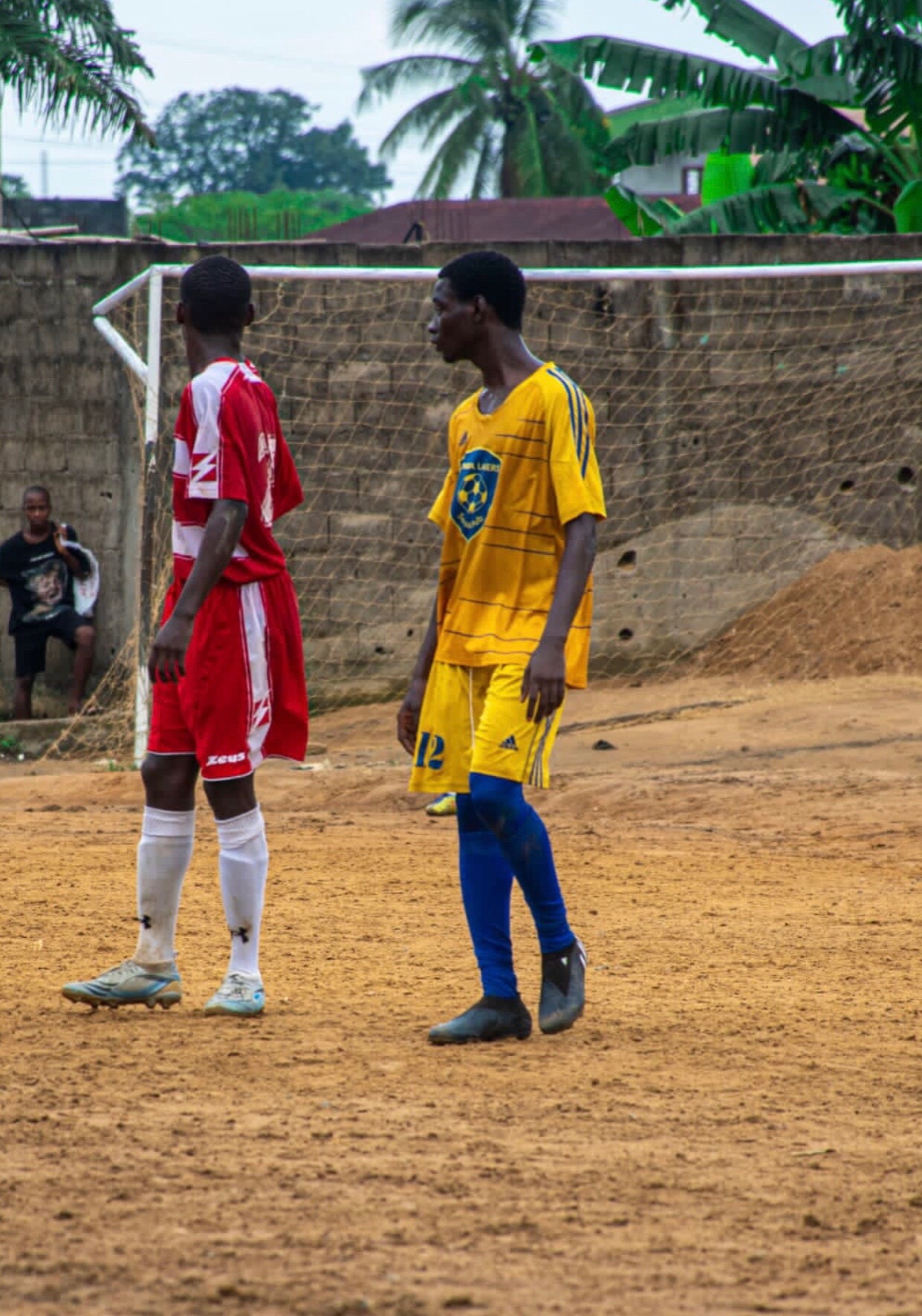 @Zambo anguissa29