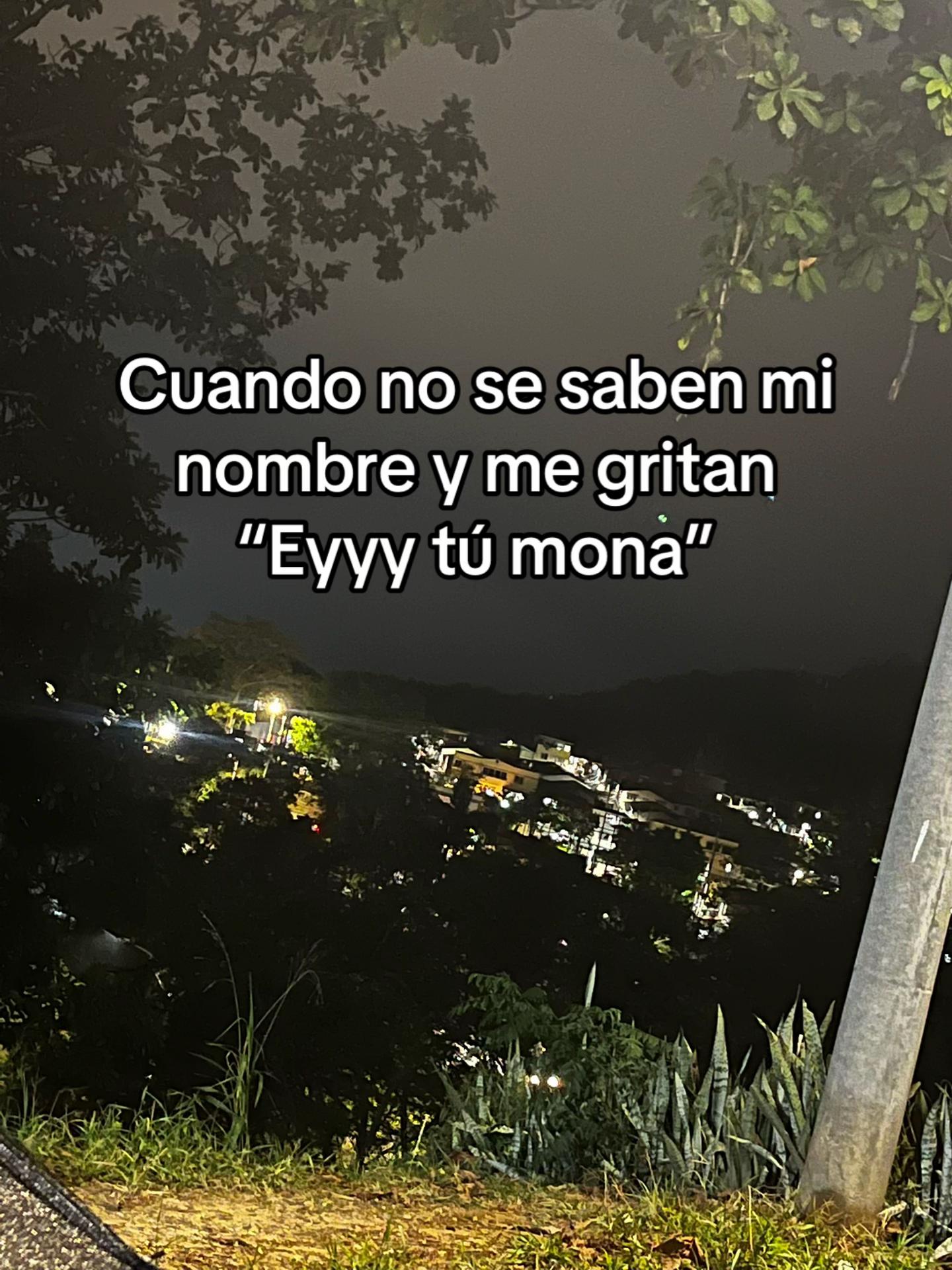 @𝐓𝐚𝐧𝐢𝐚✨