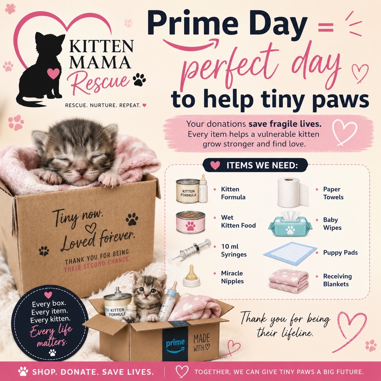 @Kitten.mama