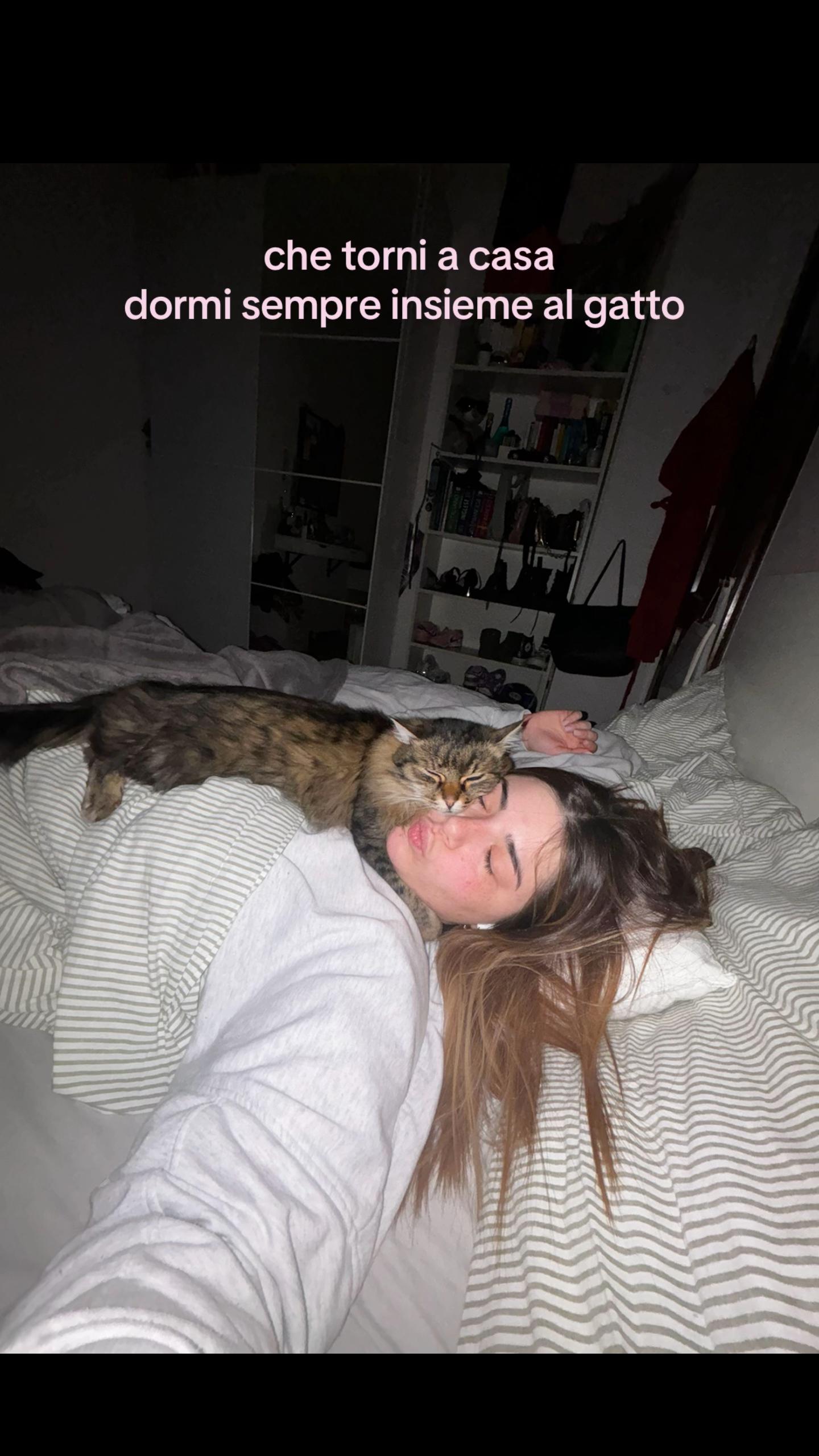 @jade 🐅