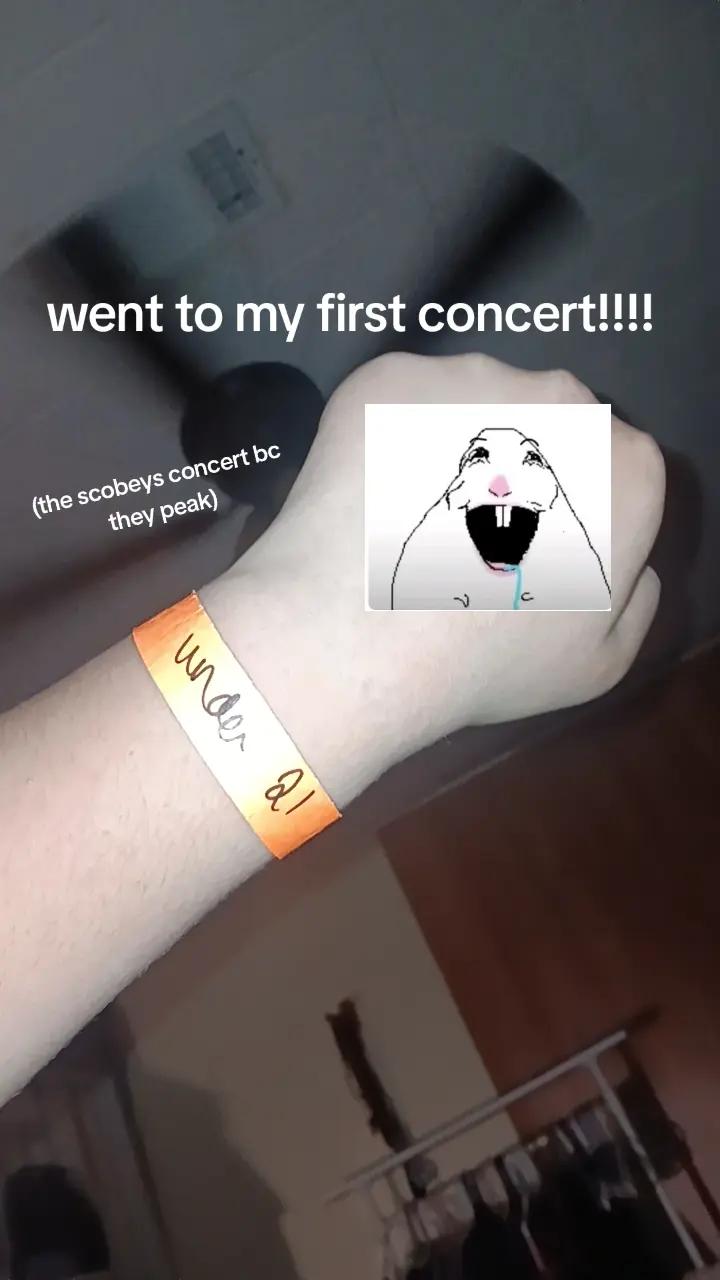 @✅️🔥🥁sillyDRUMguy🥁🔥✅️