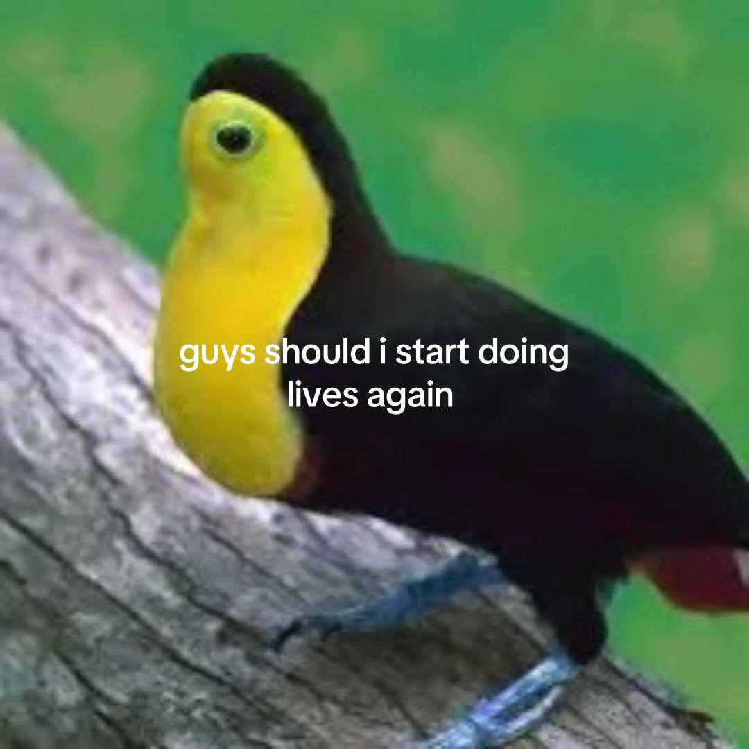 @jalape&ntilde;o