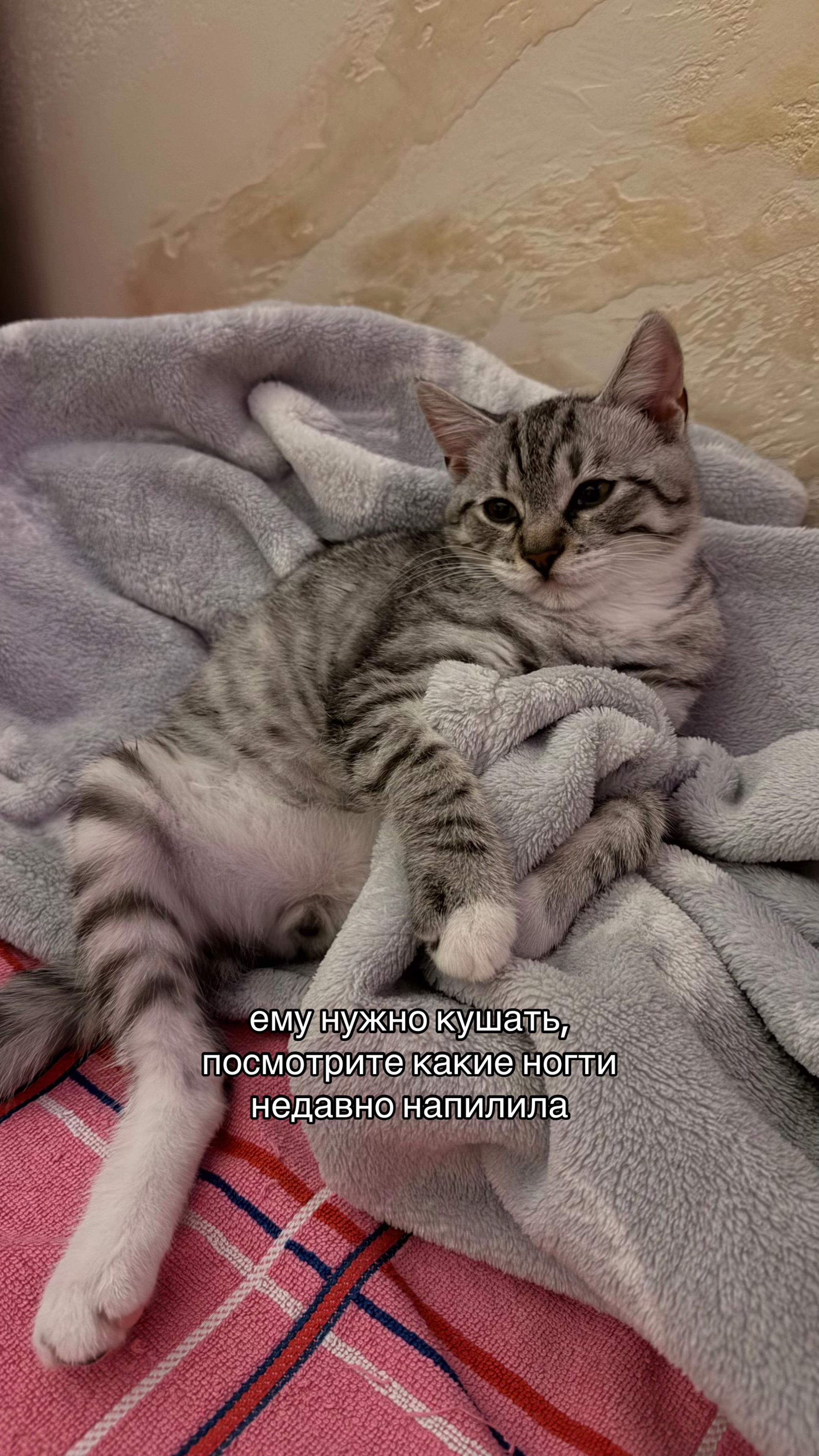 @маникюр ногти гродно