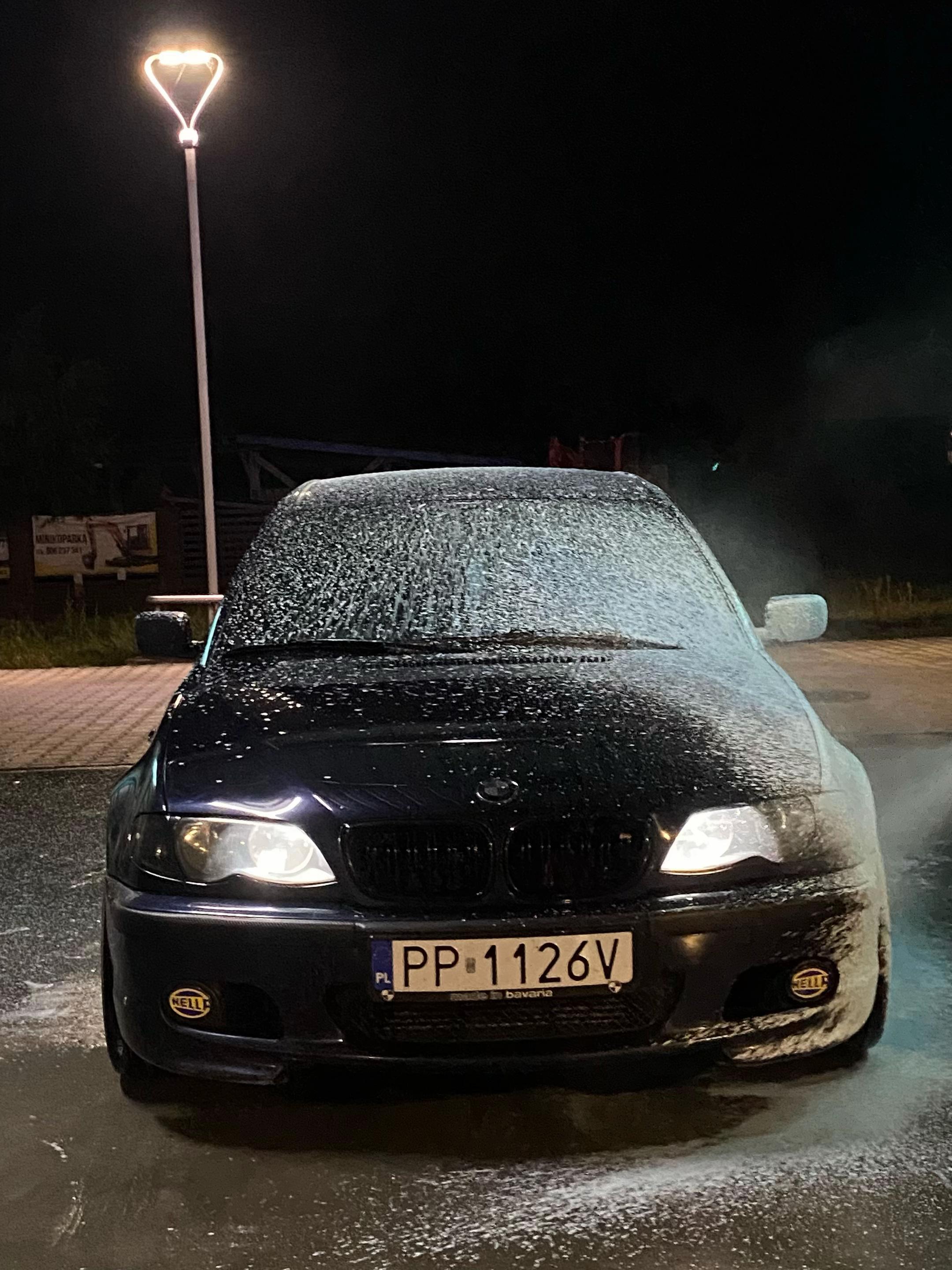 @pitus._