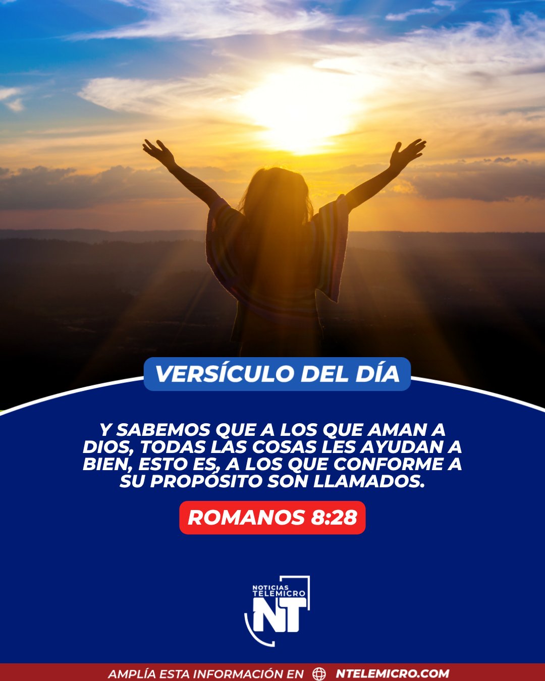 @Miguel Medina oficial