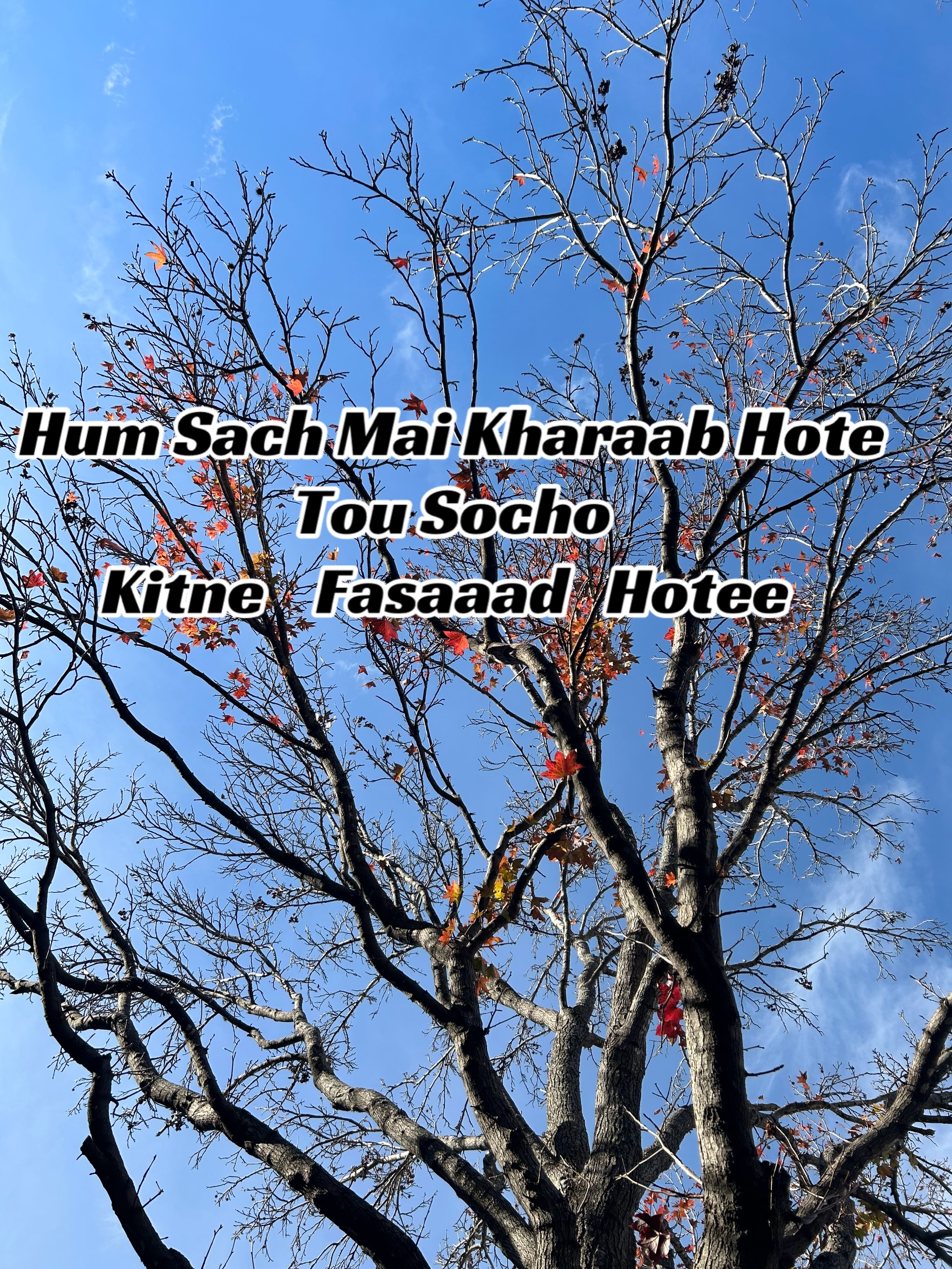 @ZaraHayat020104