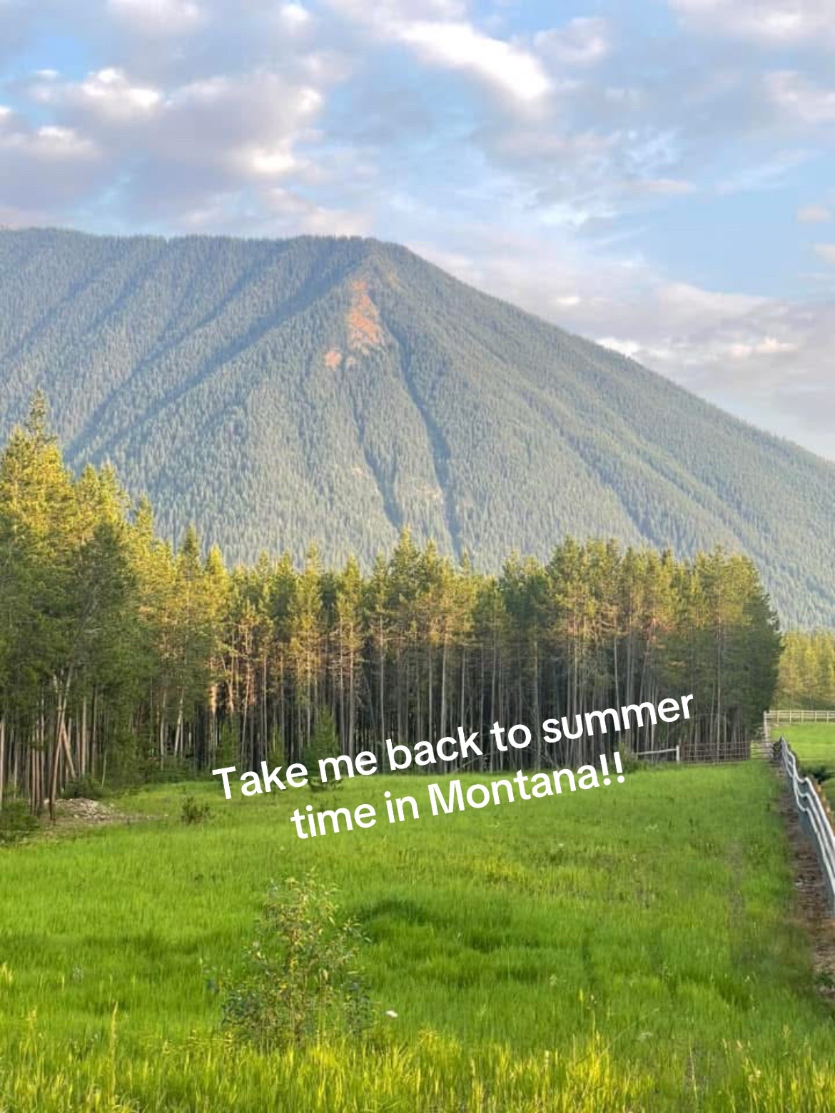 @Rochelle Moinichen