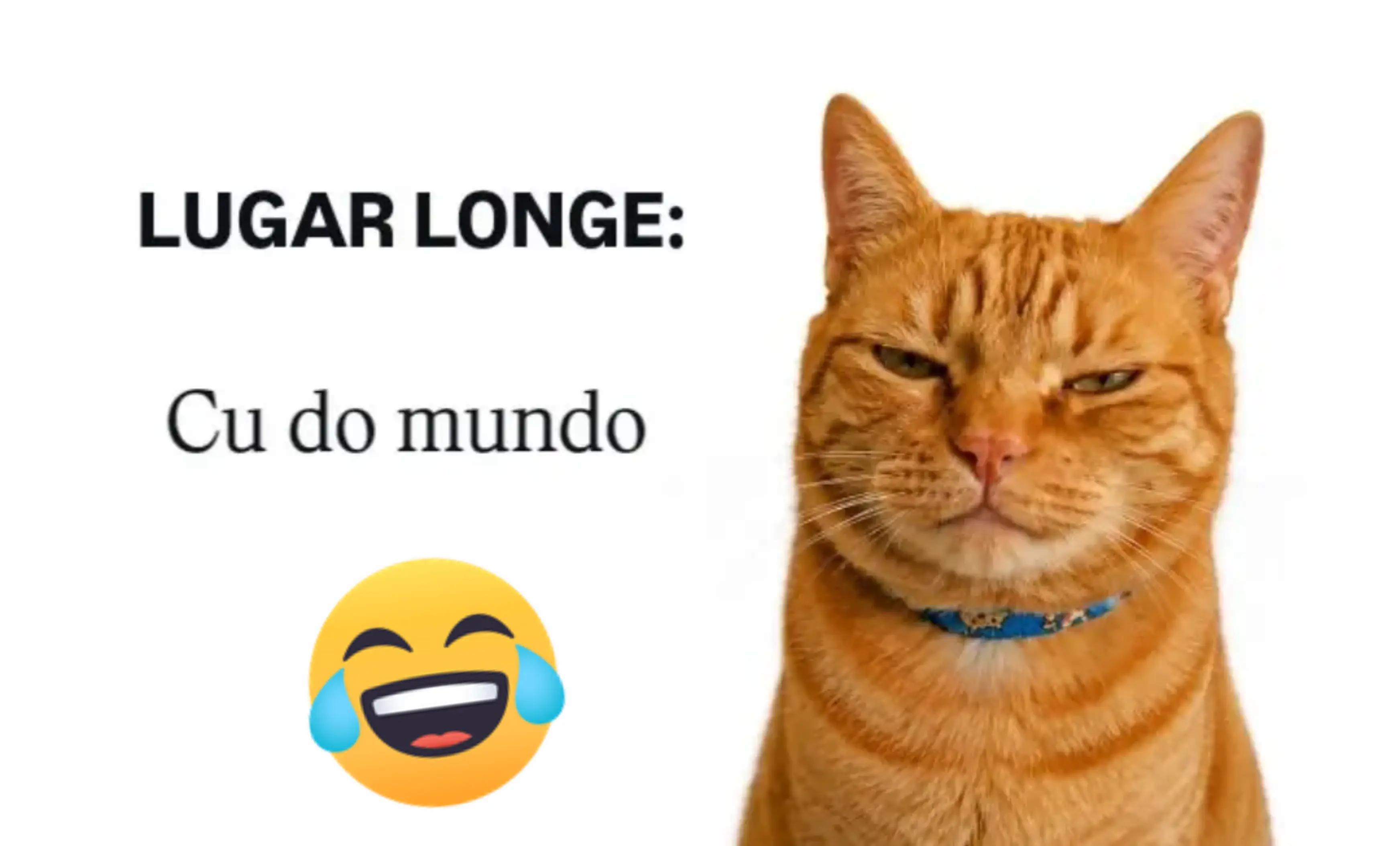 @Z&eacute; Zuero