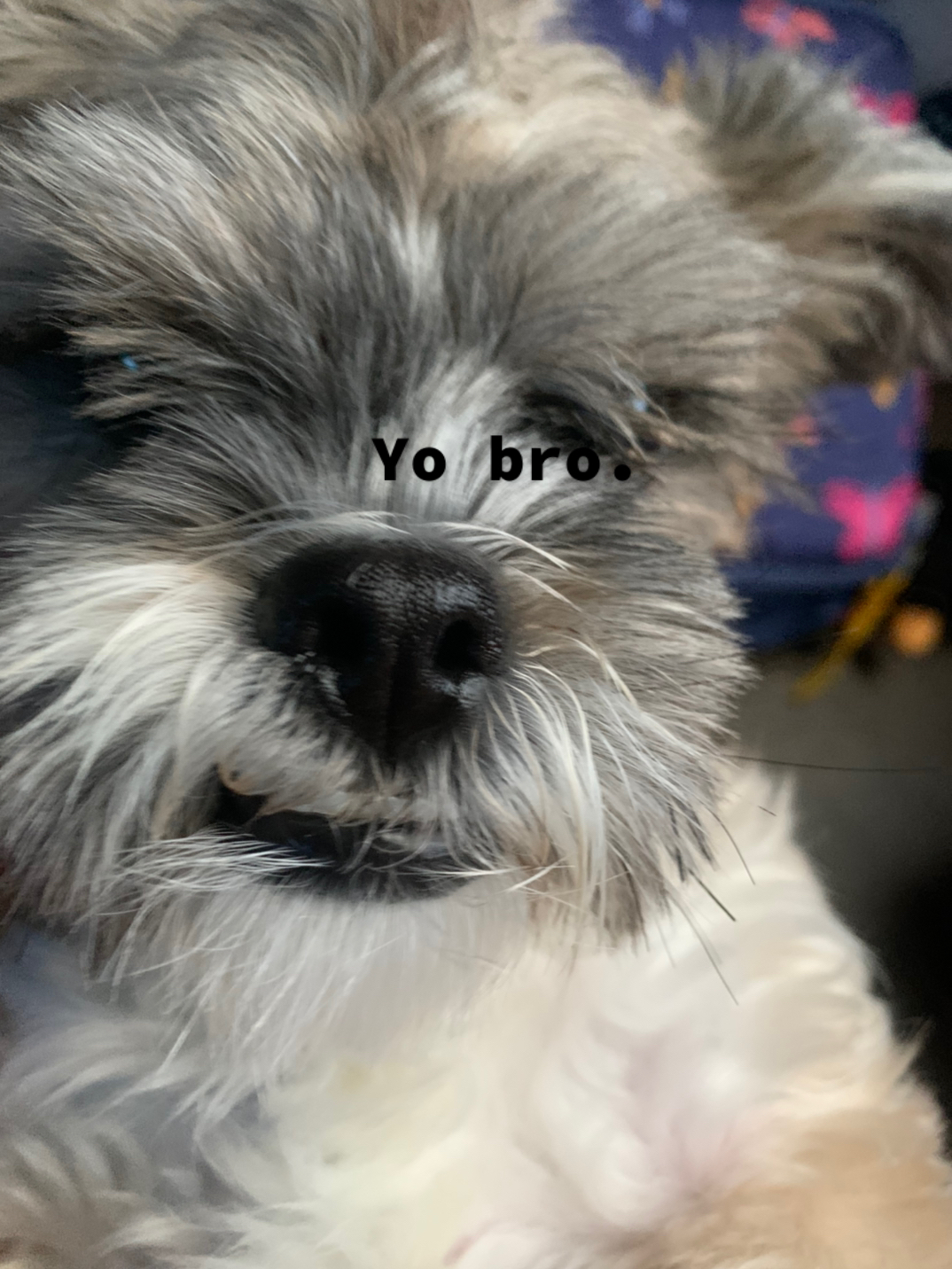 @𝓛𝓾𝓶𝓲𝓷𝓮♡♥︎