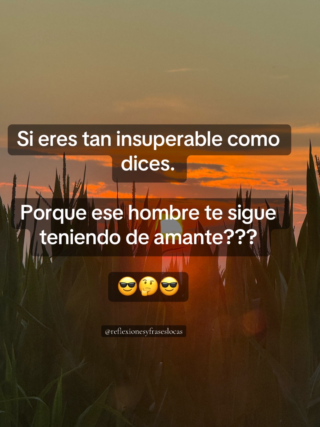 @reflexionesyfraseslocas