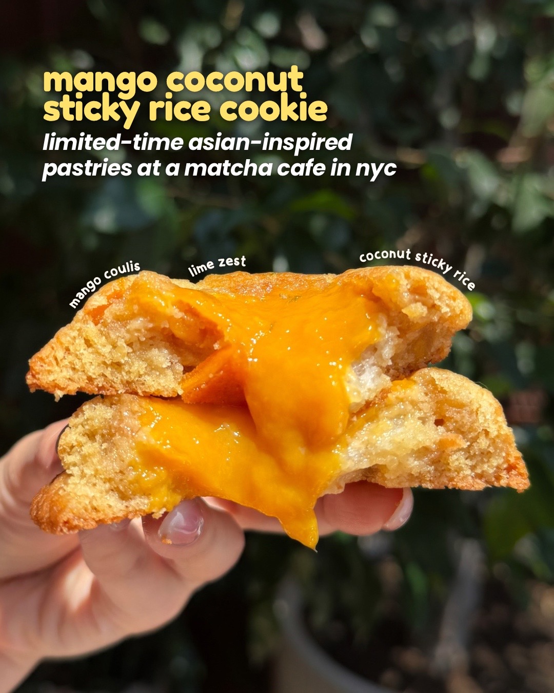 @Ruby | Your Honest NYC Foodie