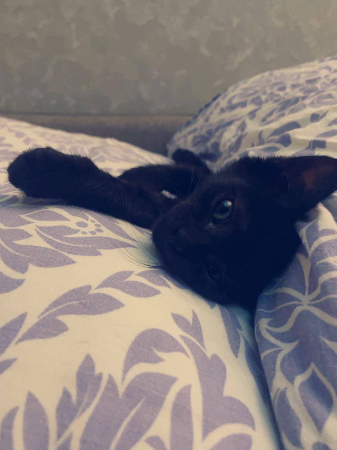 @♡