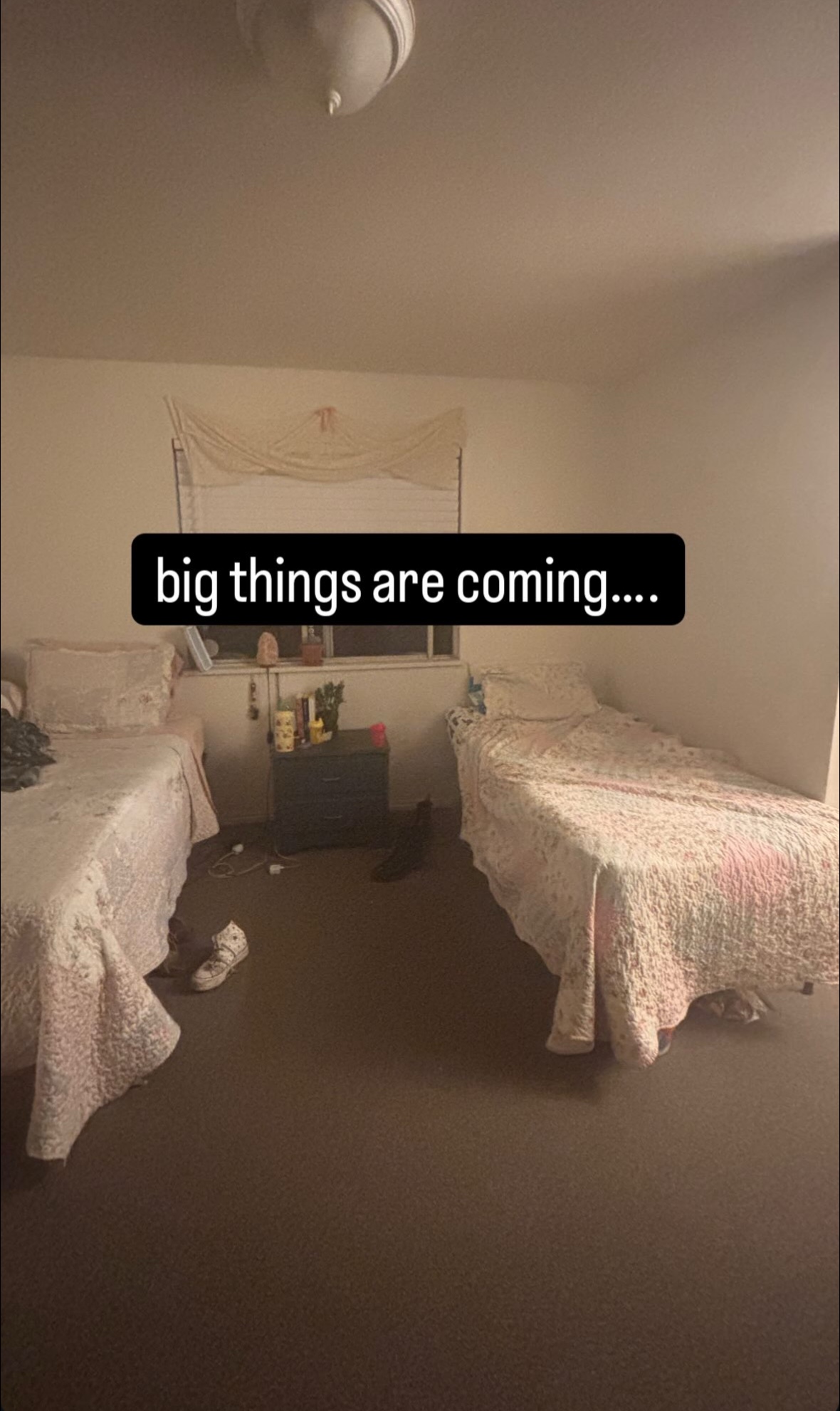 @lillybaconranch