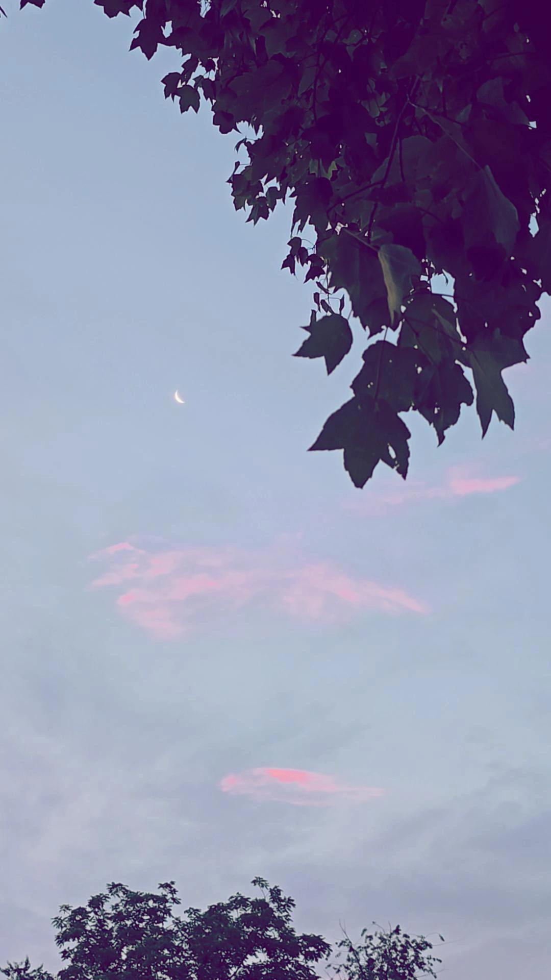 @🌙🧚🏽♀️breannaxp♥