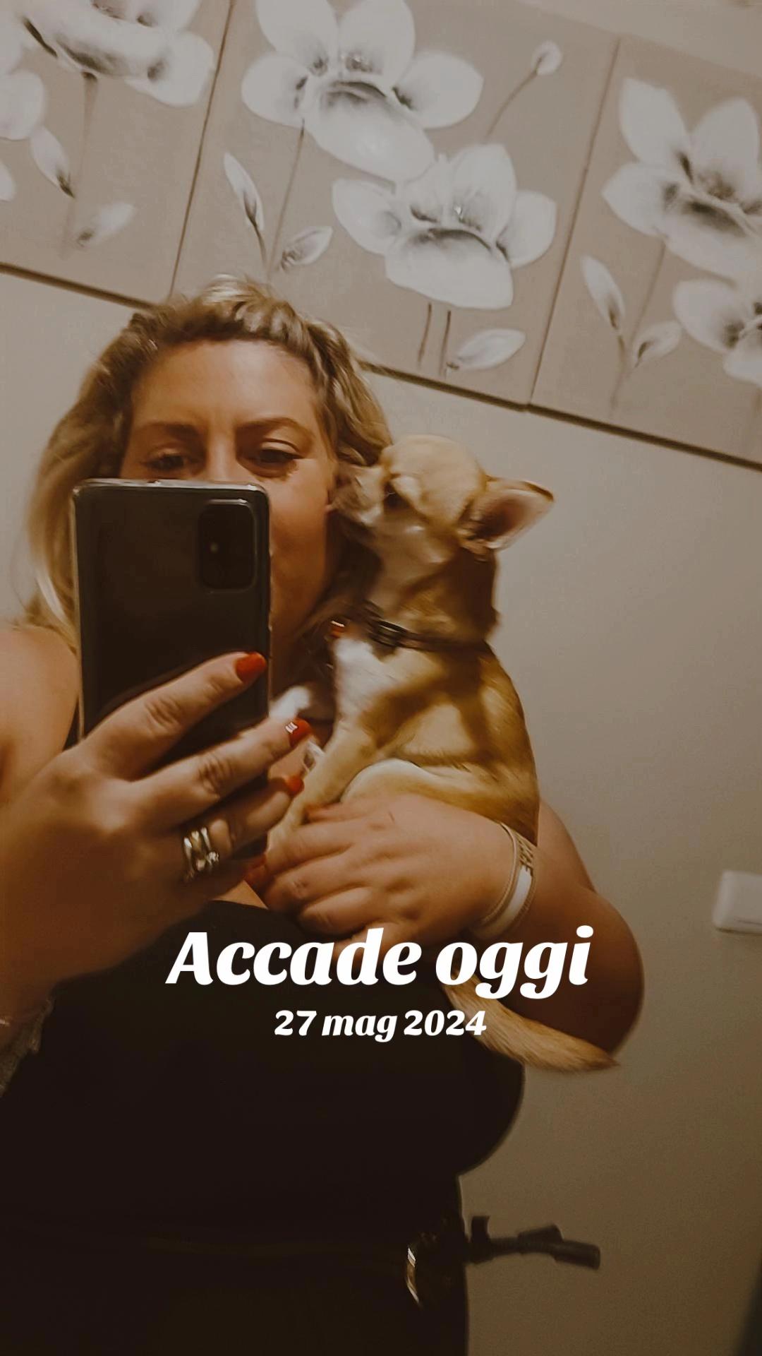 @BAT&Ugrave;
