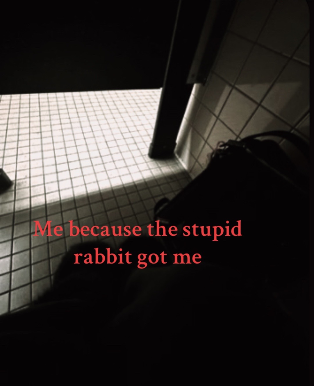 @ghost_346i