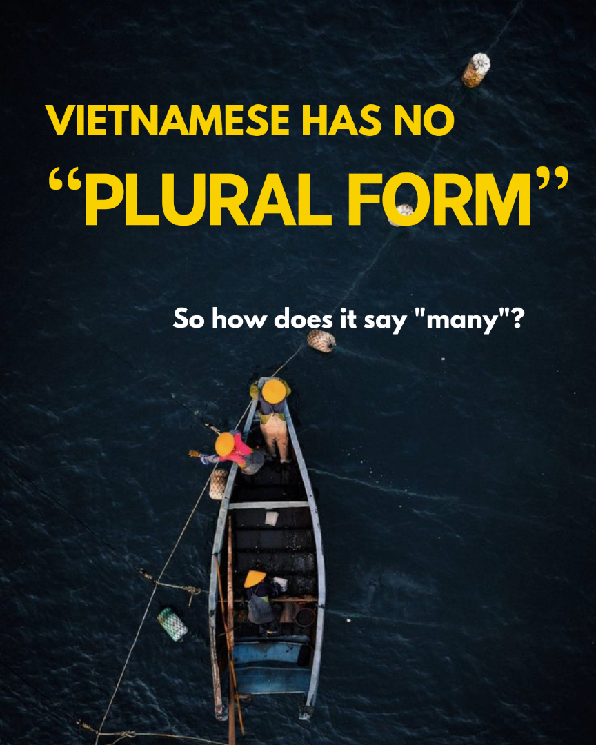 @survival.vietnamese