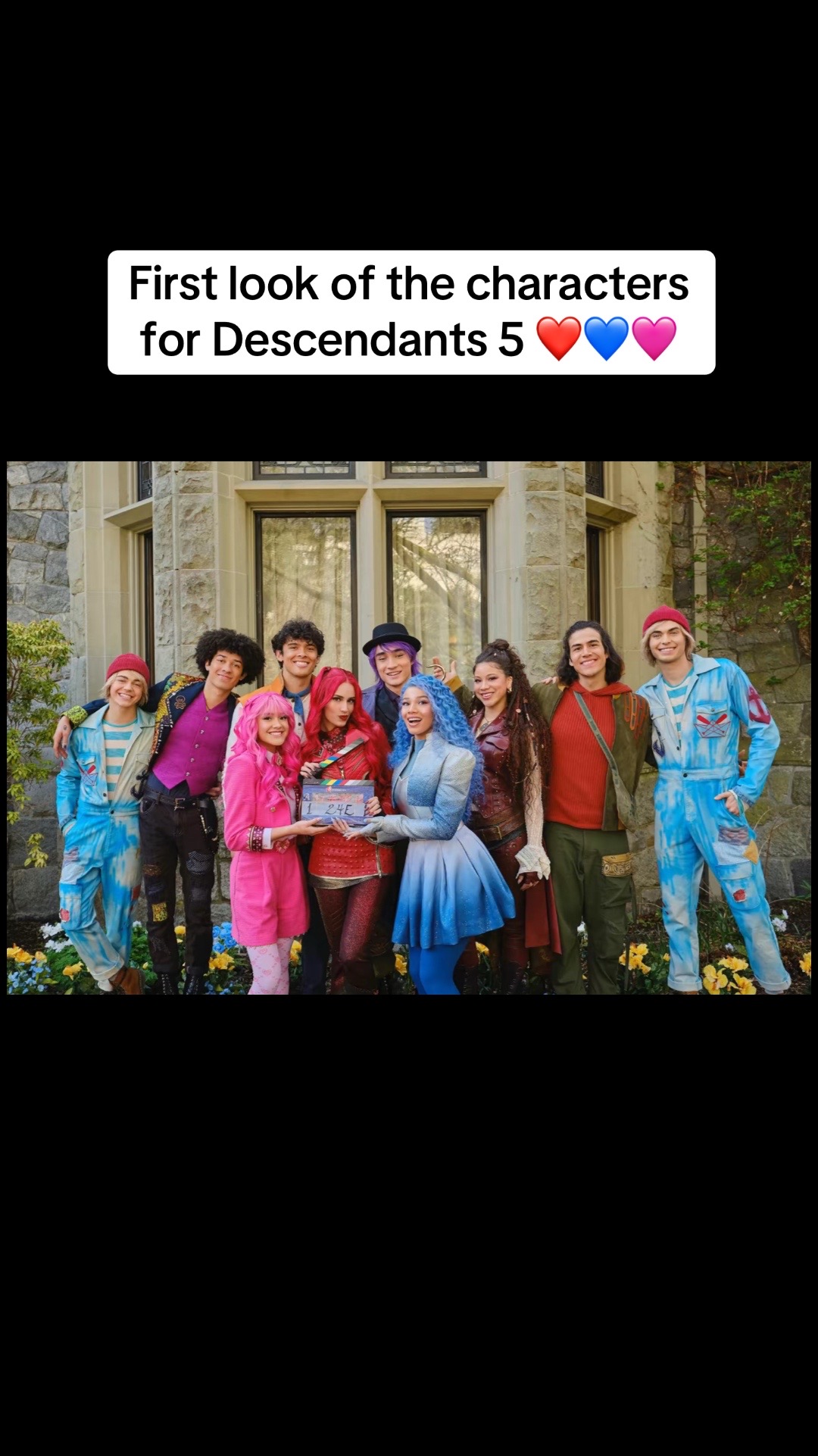 @descendants213