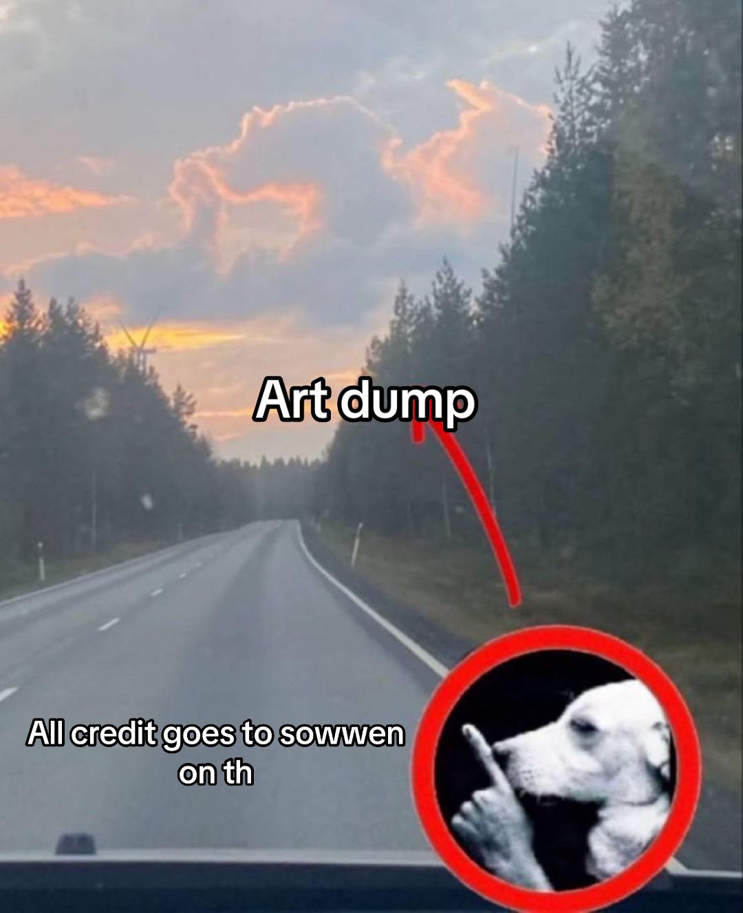 @⁉️🐺