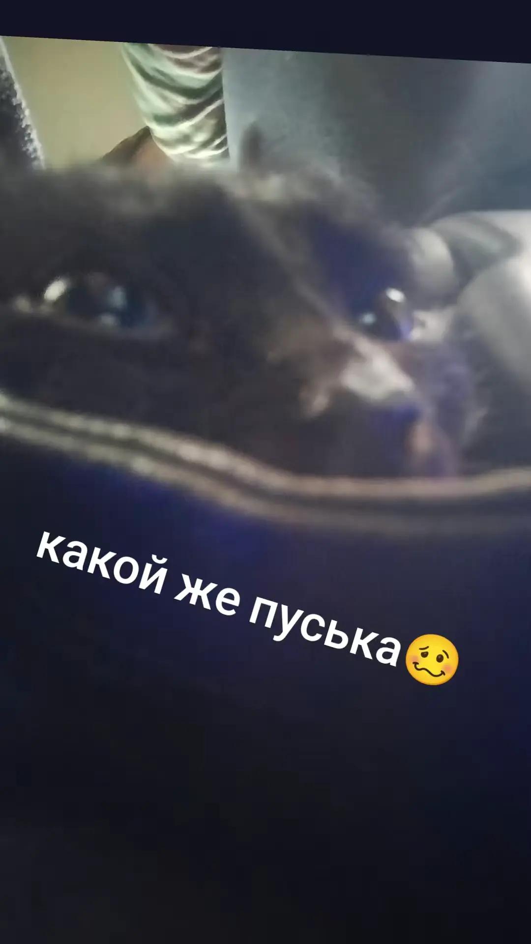 @serega_pirat_fan_talant322)