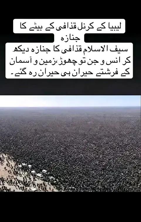 @Muzamil Hayat