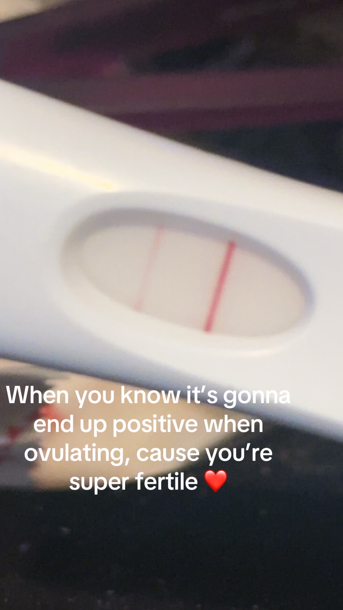 @Tiffany O’Connor