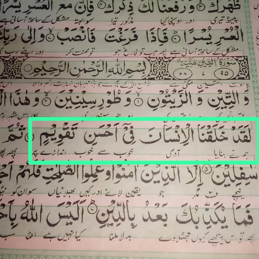 @☝️🕋 Naveed Islamic World 🕋☝️