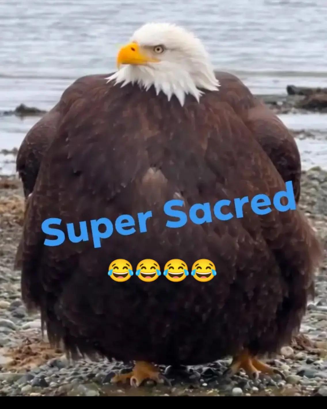 @jumyp