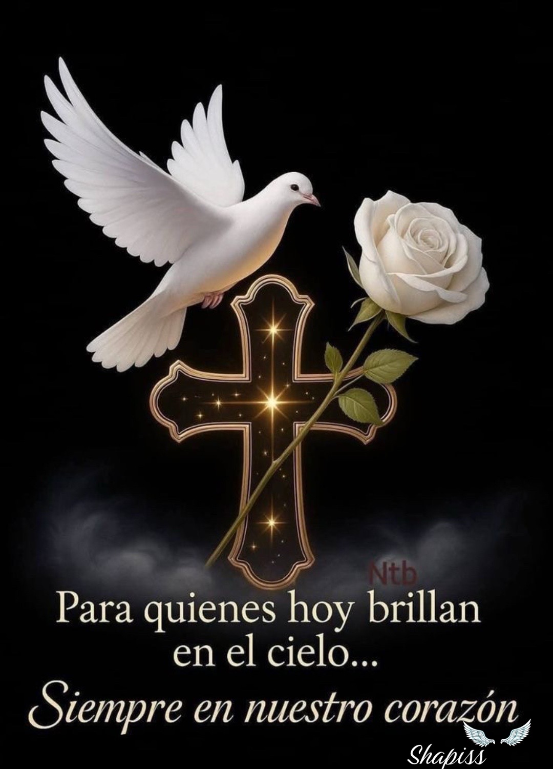 @Shapiss🕊️