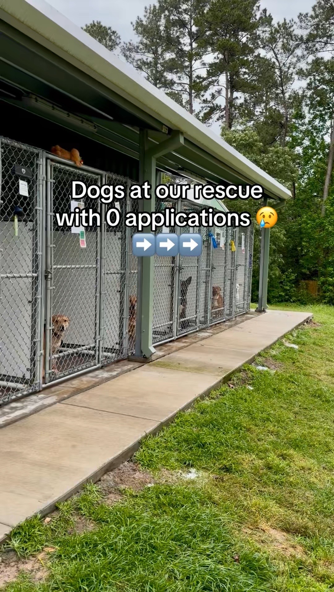 @Corridor Rescue Inc.