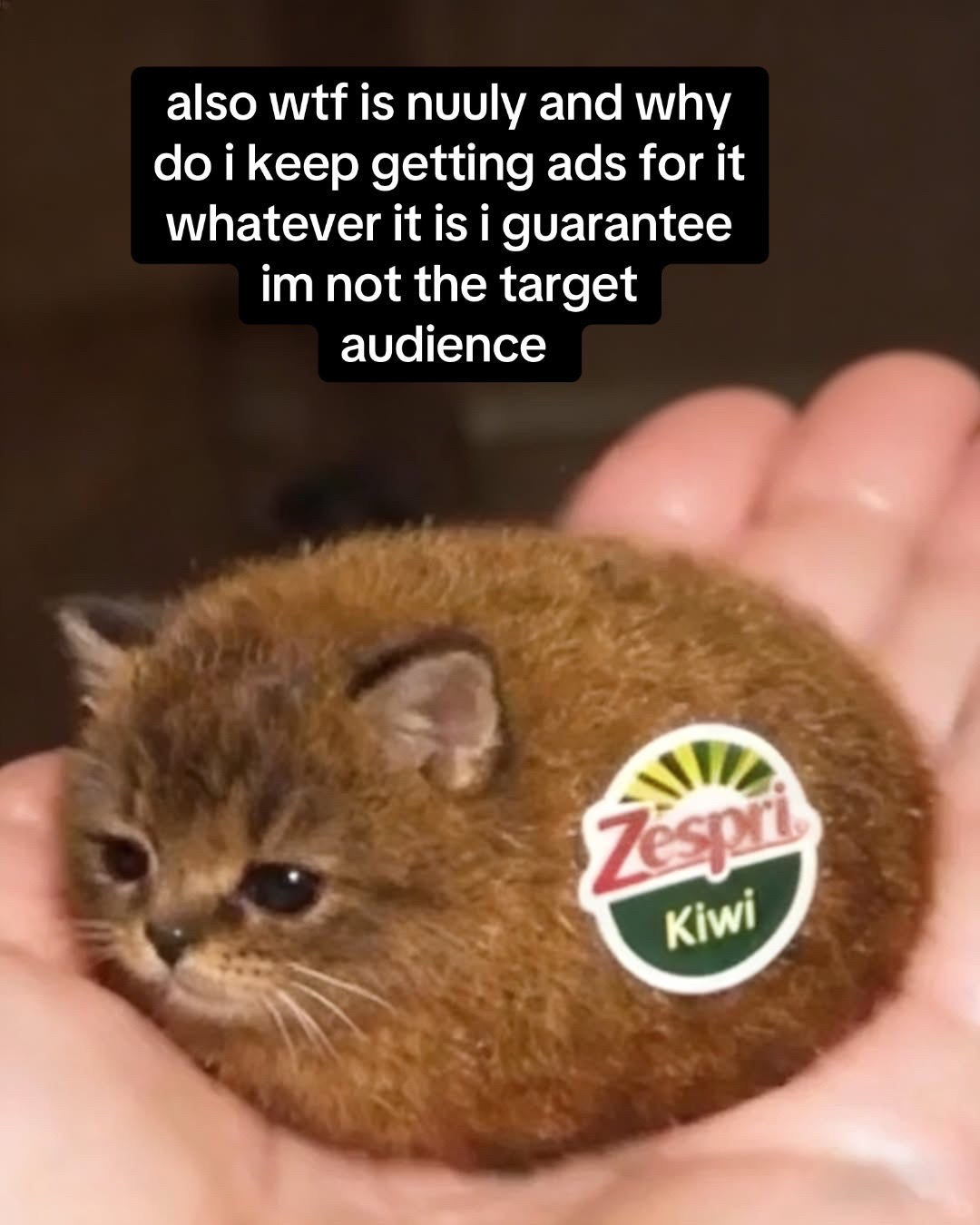 @imsuchafatfckinchud