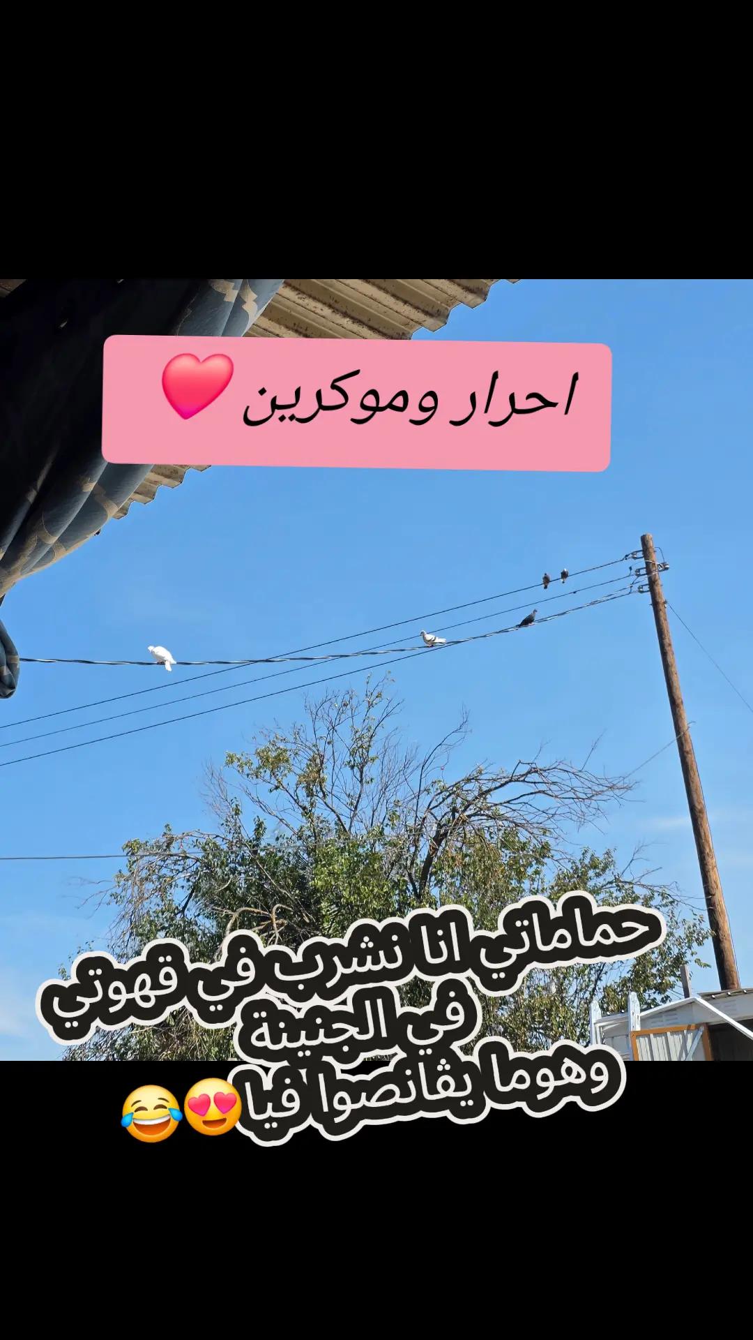 @🇺🇸Fatma America🇺🇲