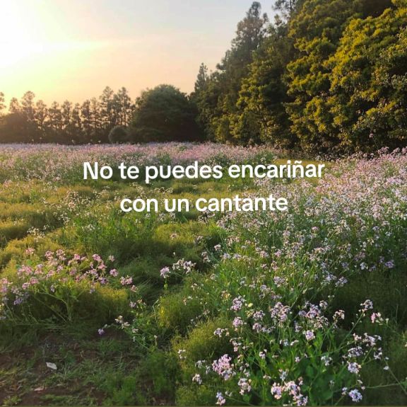 @Jhvc 🌺