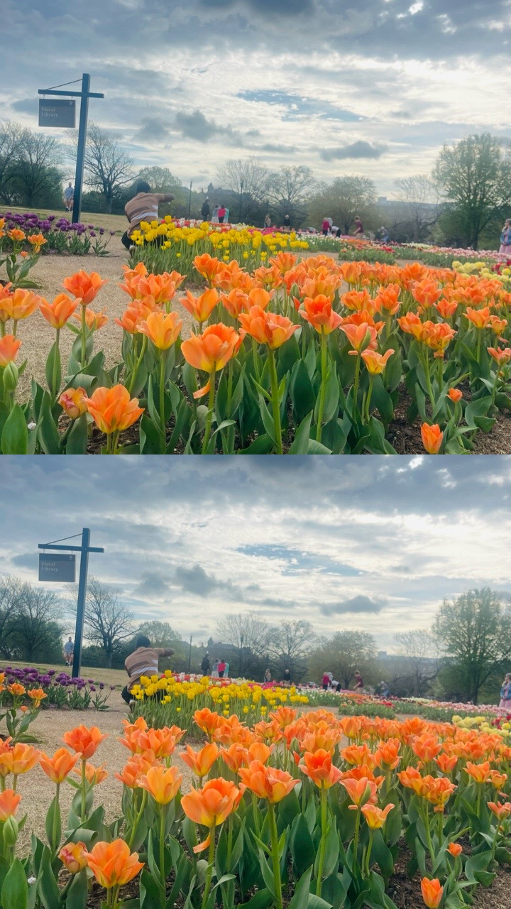 @Diya 🪔 Rai Subba