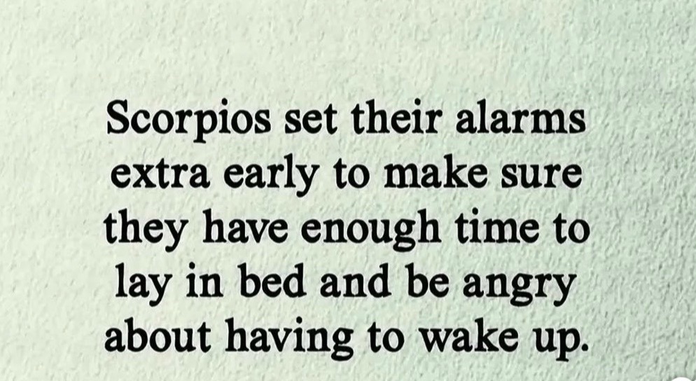 @The best of scorpios 🦂🦂❌