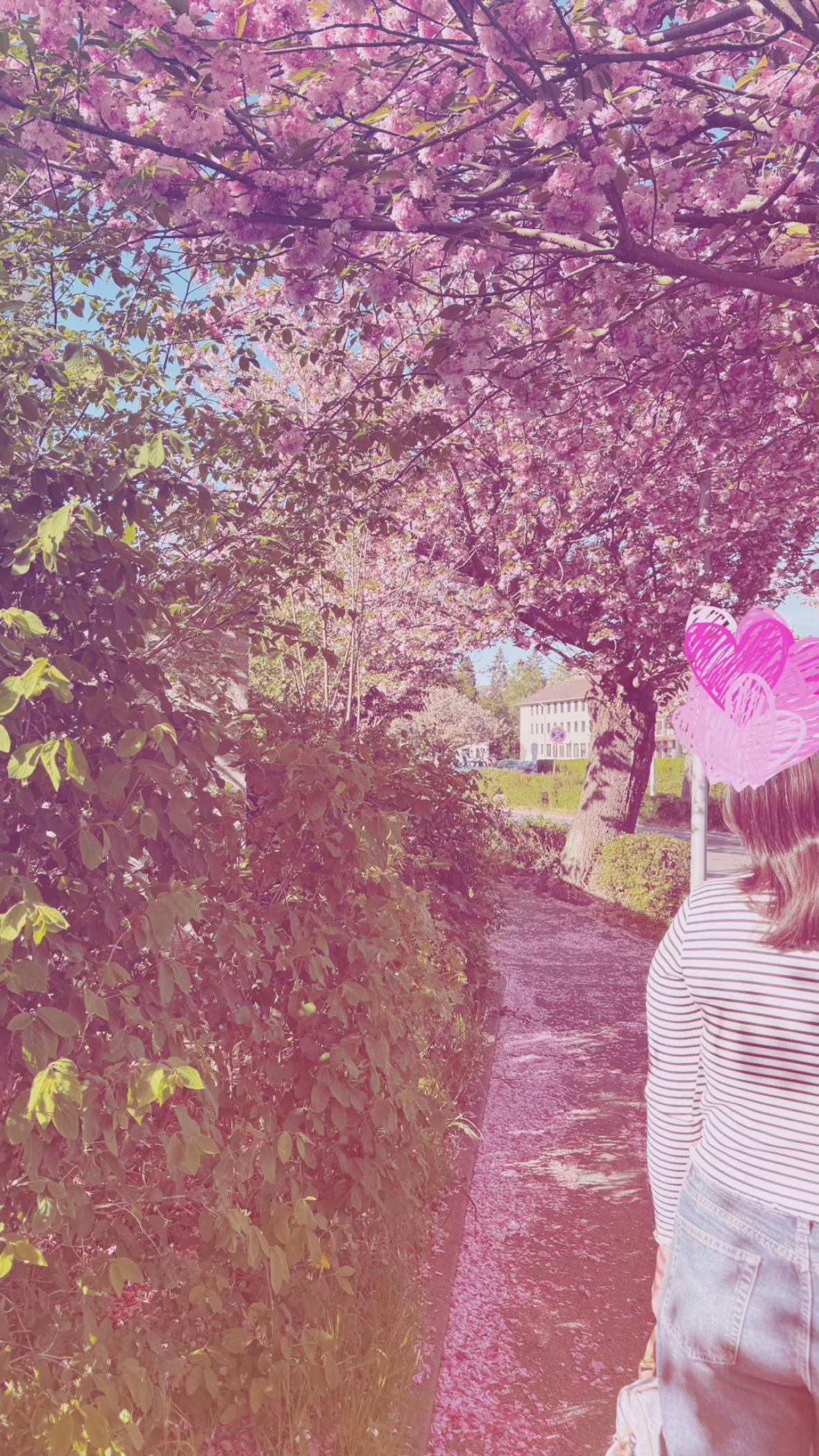 @伊娃🌺
