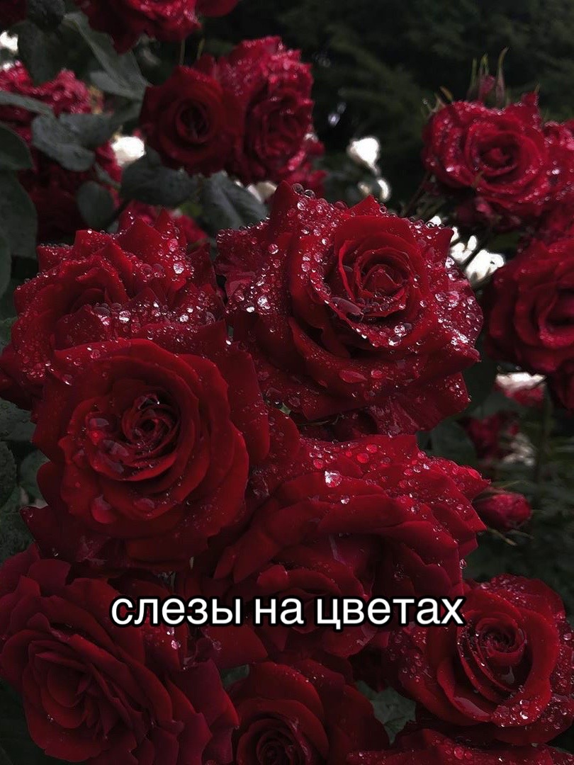 @генерал Хуа