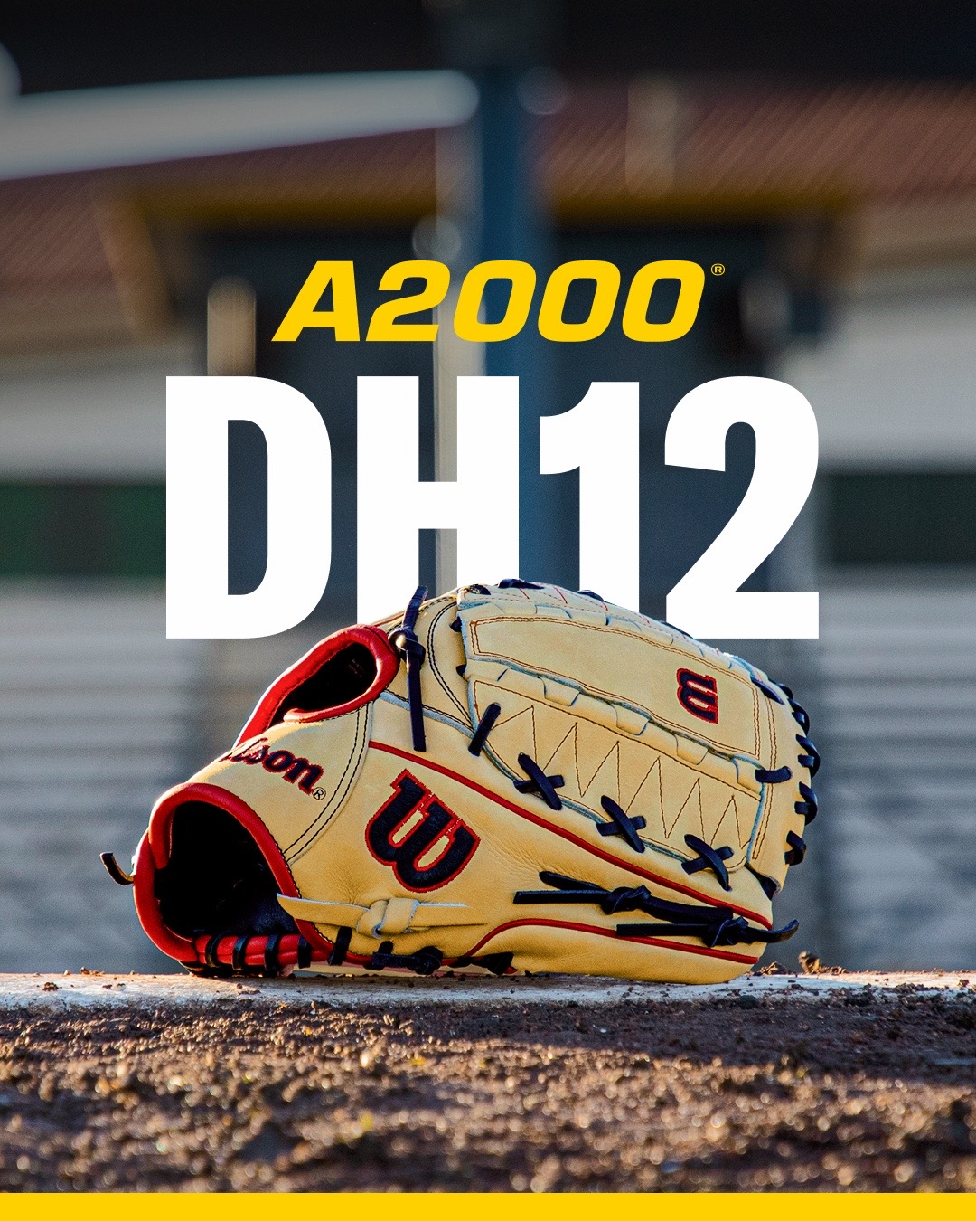 @wilsonballglove