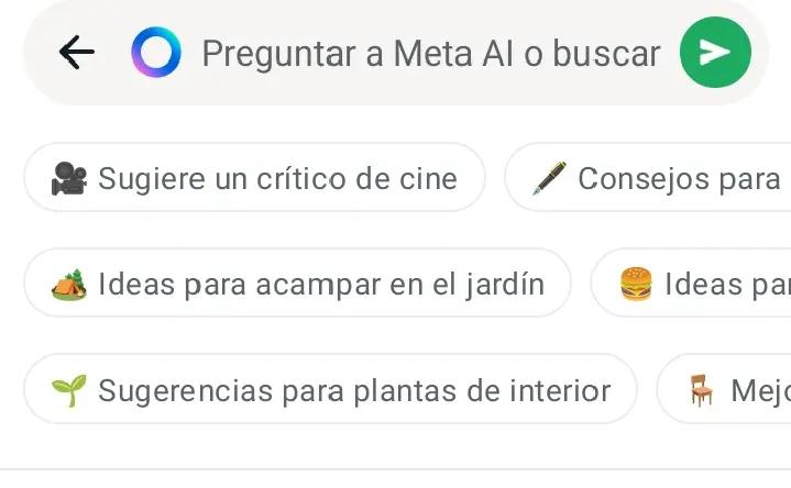 @🤤 gordita 🤤Dayi 🕷️